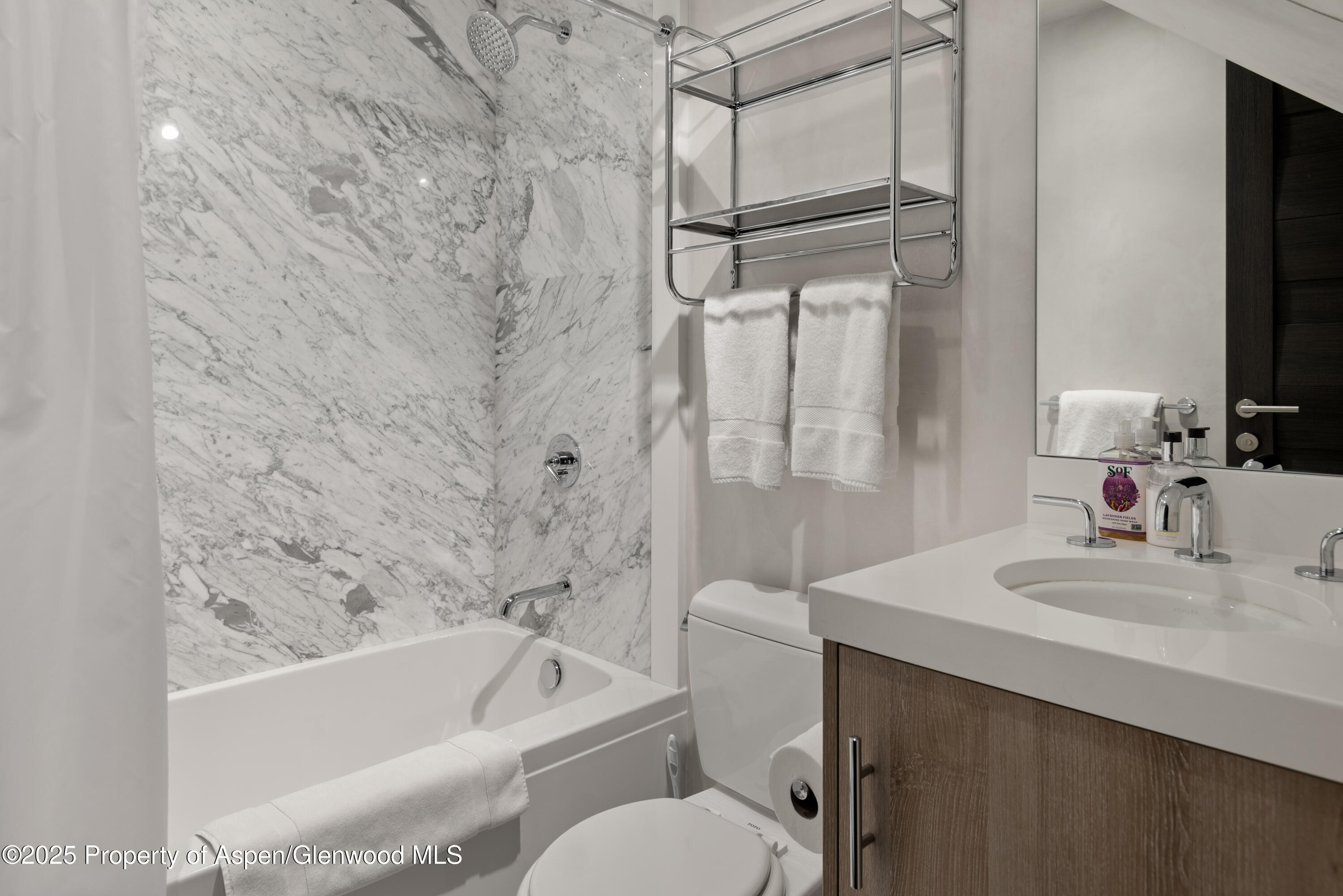 124 E Durant Avenue Aspen CO 81611