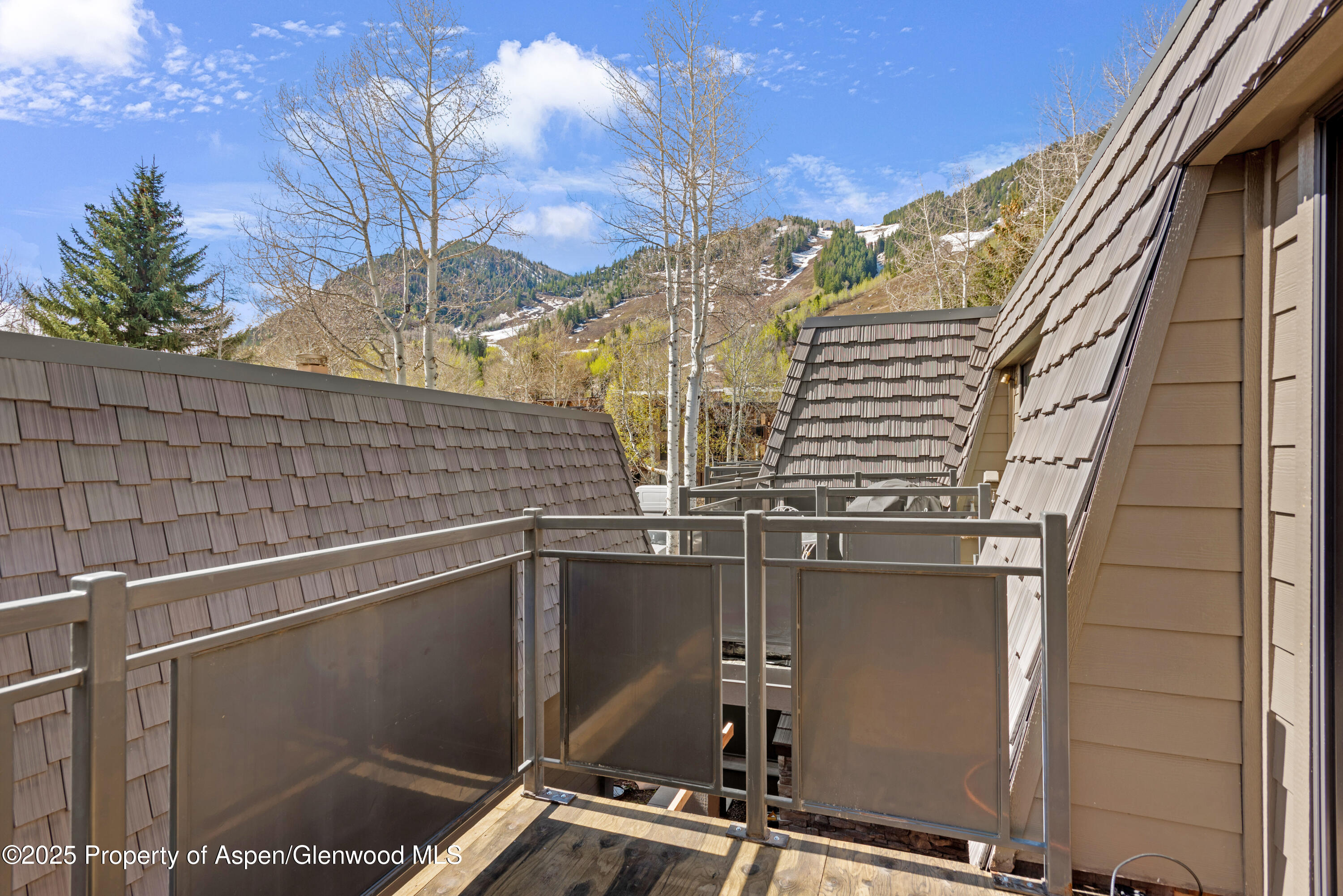 124 E Durant Avenue Aspen CO 81611