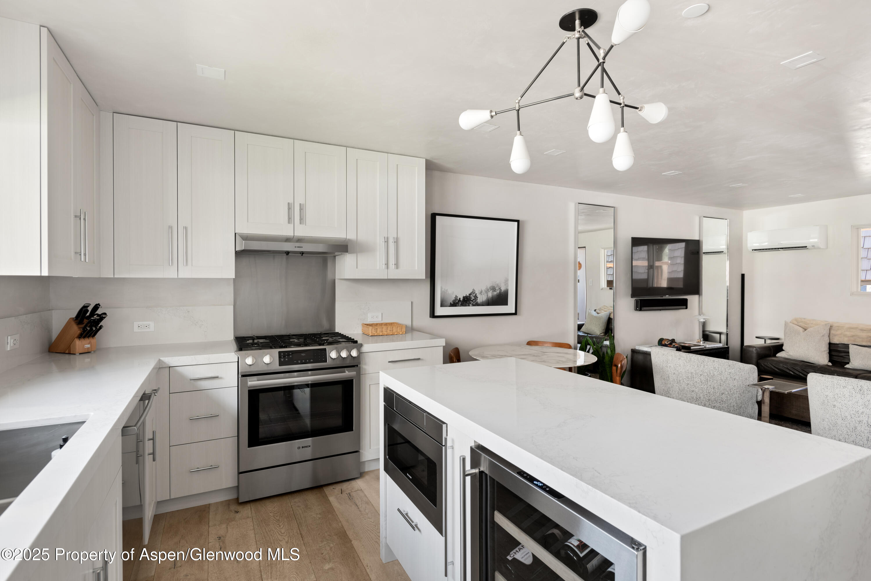 124 E Durant Avenue Aspen CO 81611