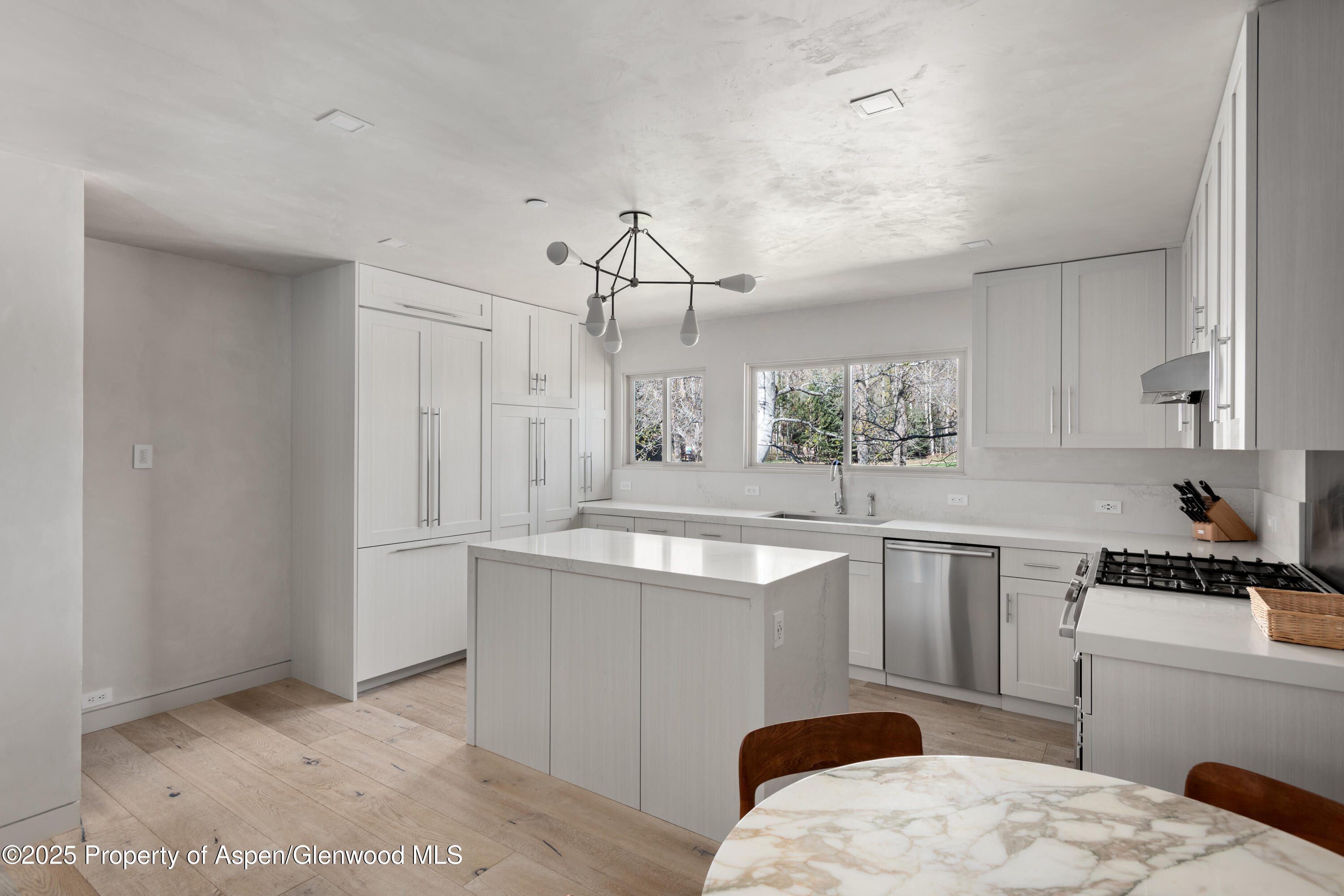 124 E Durant Avenue Aspen CO 81611