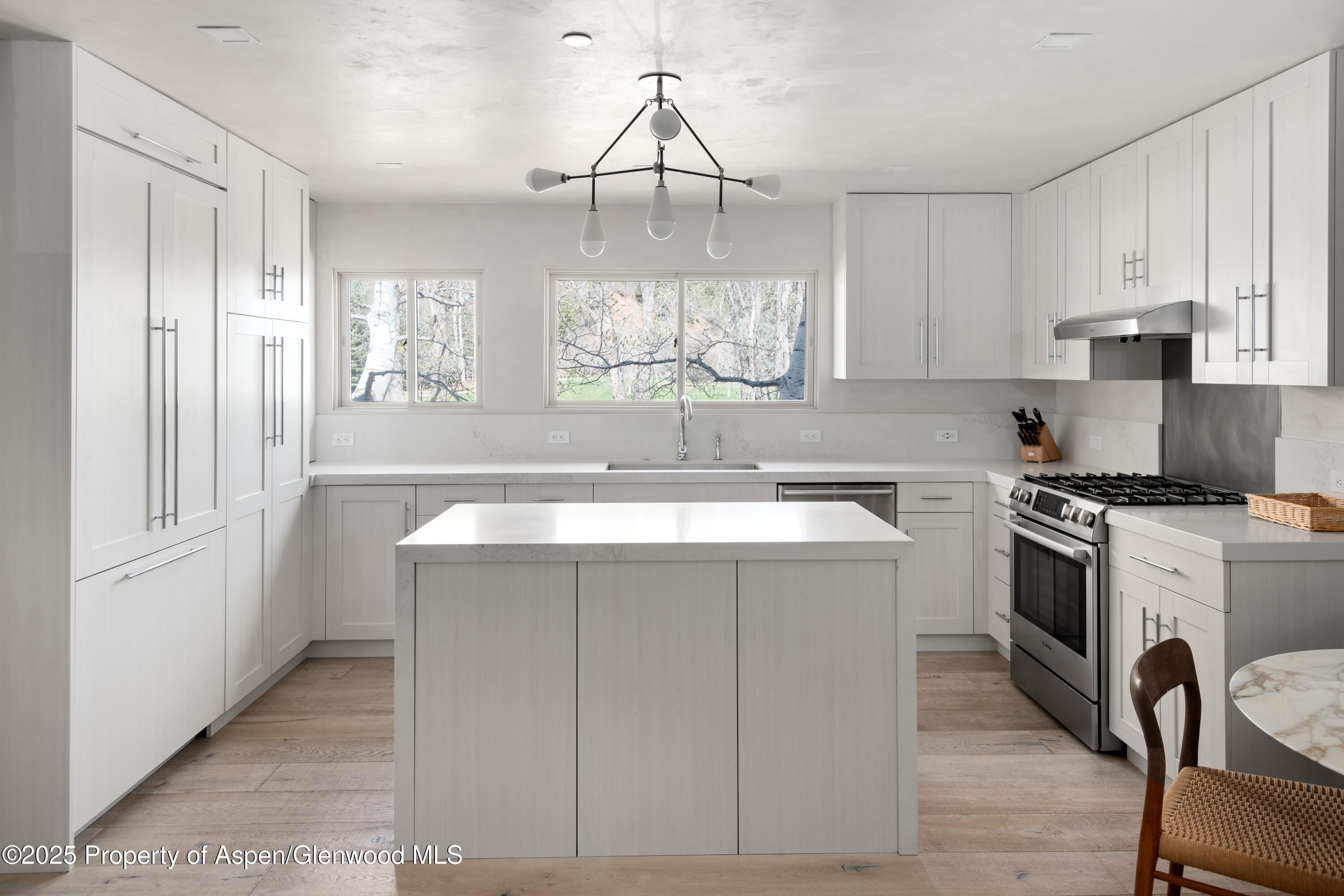 124 E Durant Avenue Aspen CO 81611