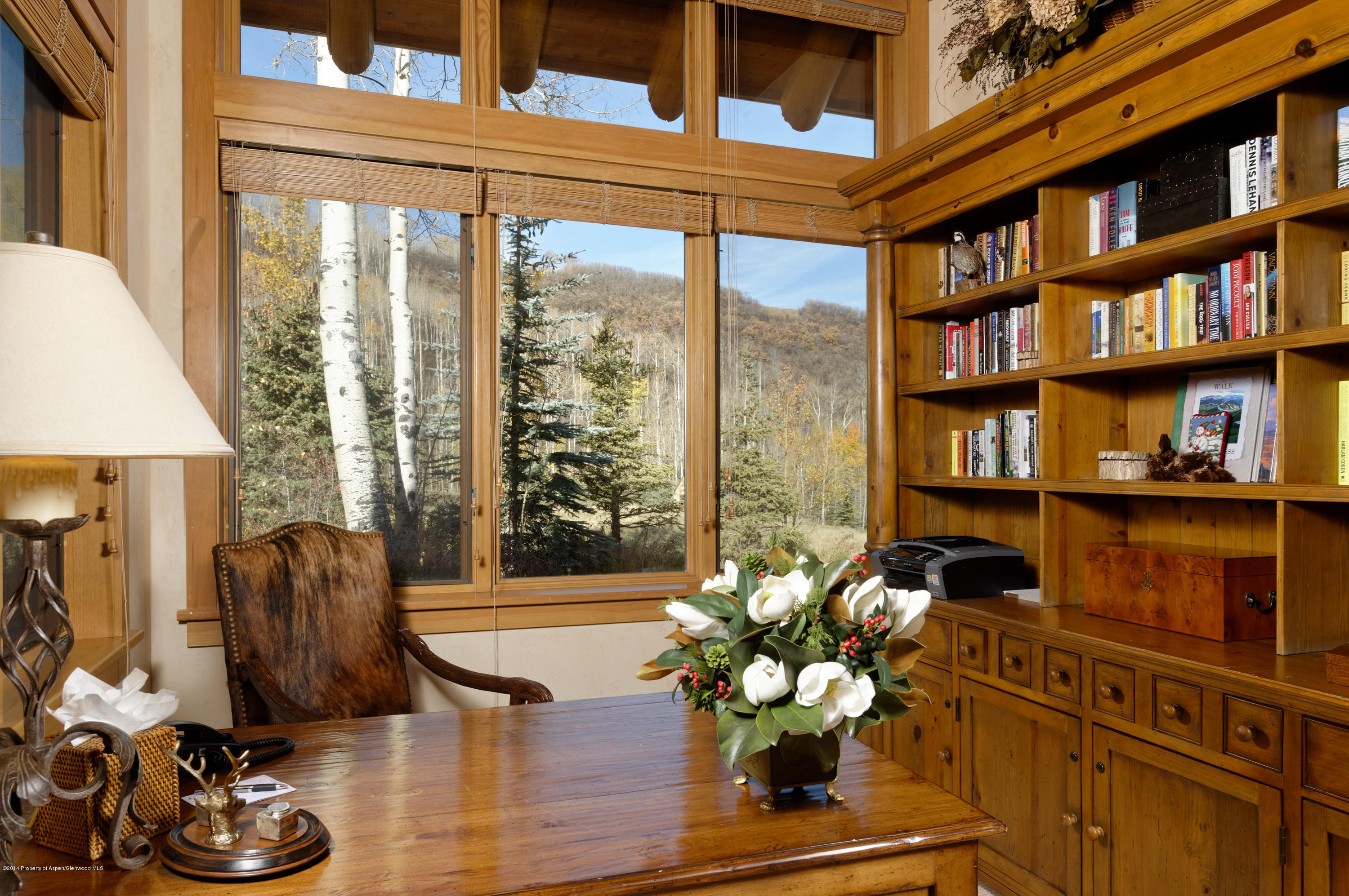 849 Serviceberry Lane Snowmass Village CO 81615