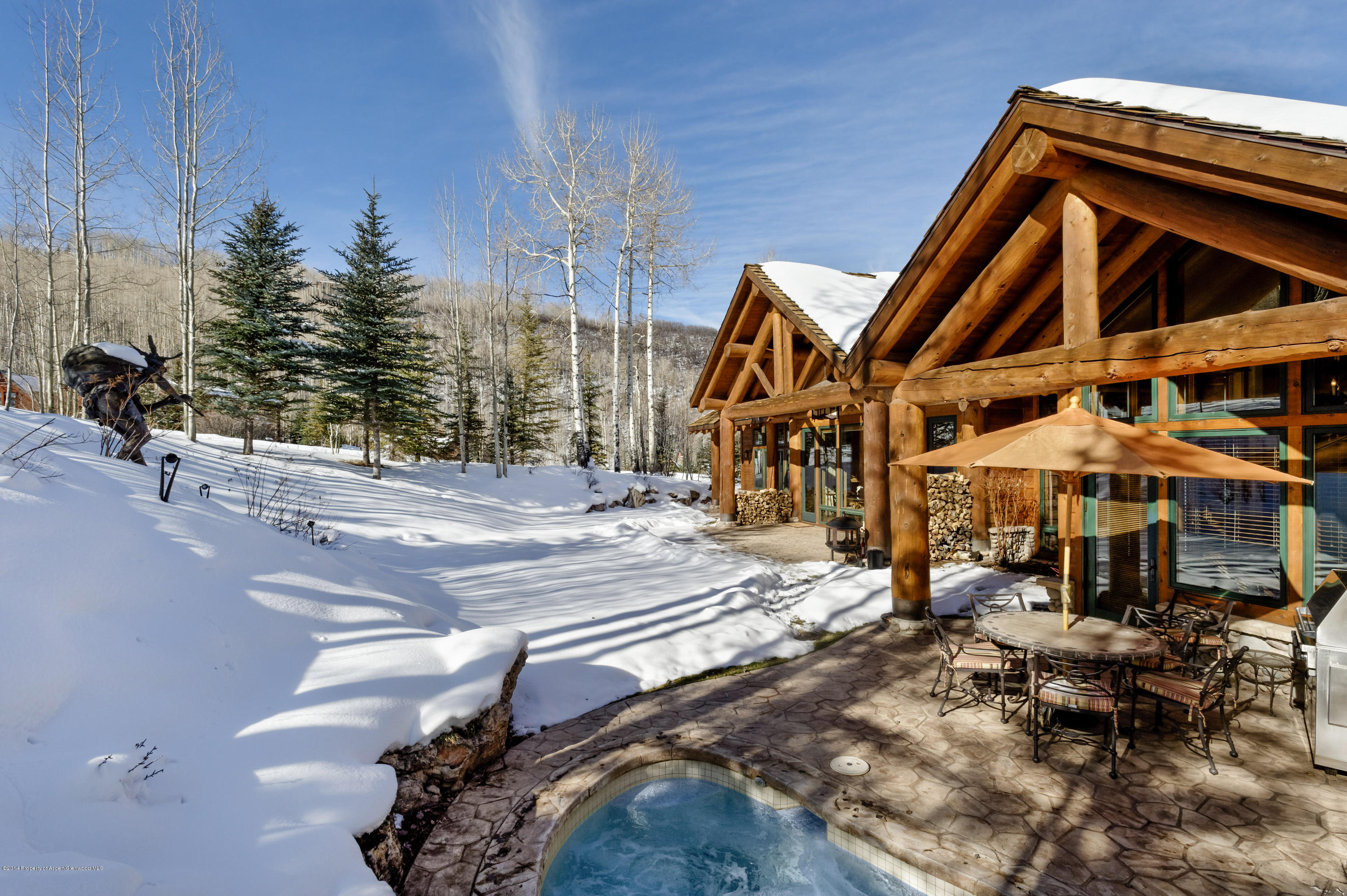 849 Serviceberry Lane Snowmass Village CO 81615