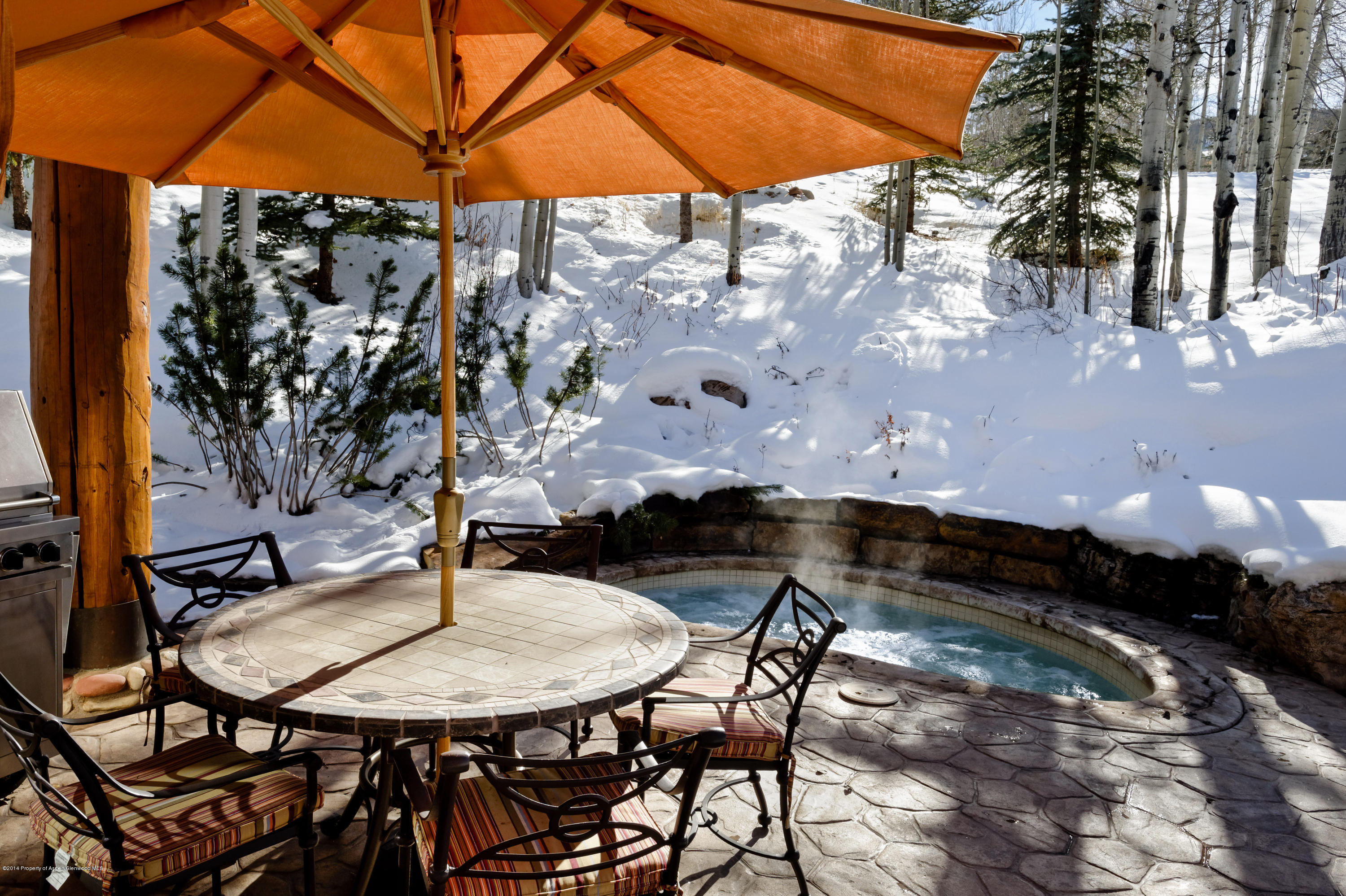 849 Serviceberry Lane Snowmass Village CO 81615