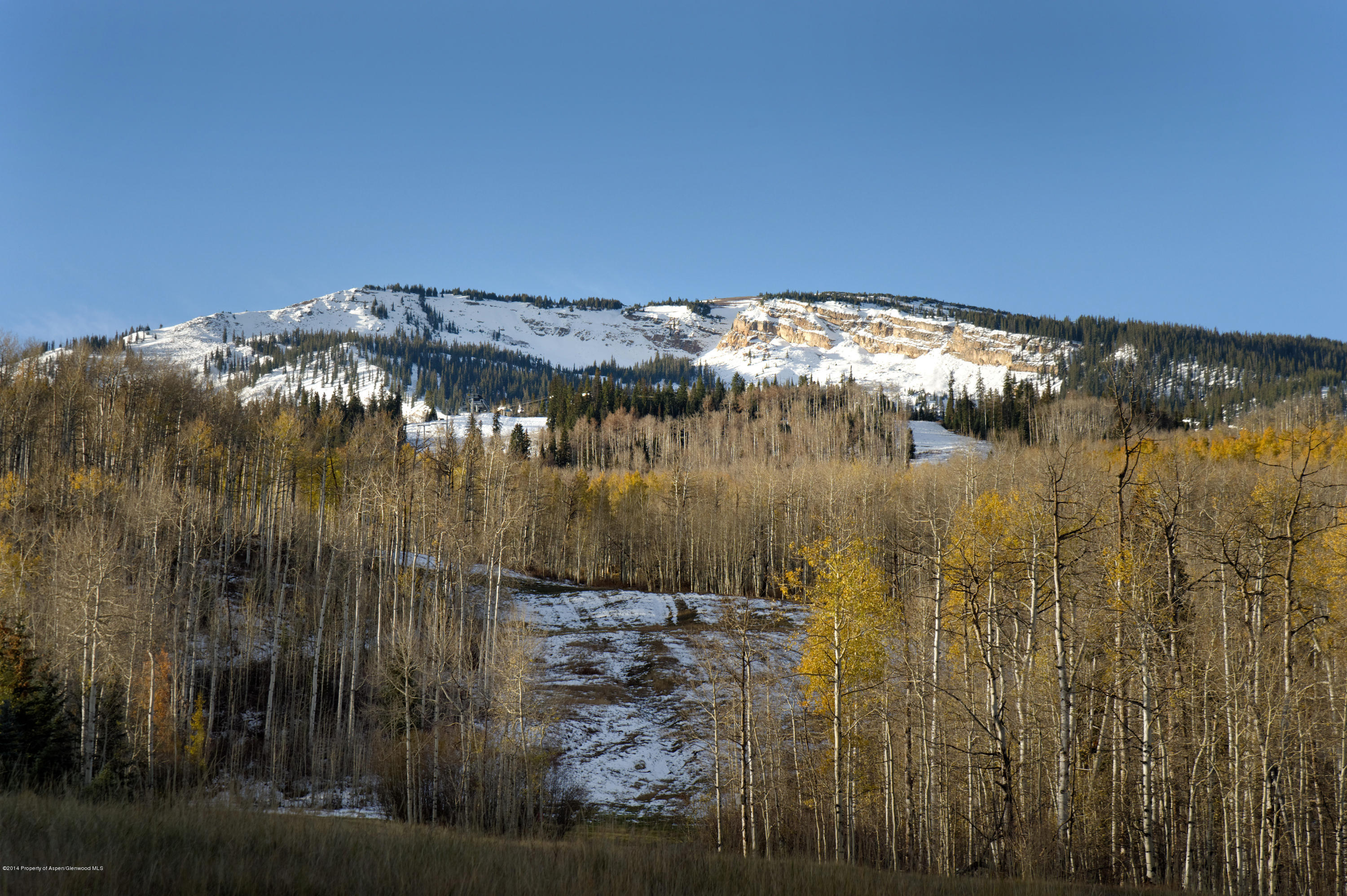 849 Serviceberry Lane Snowmass Village CO 81615