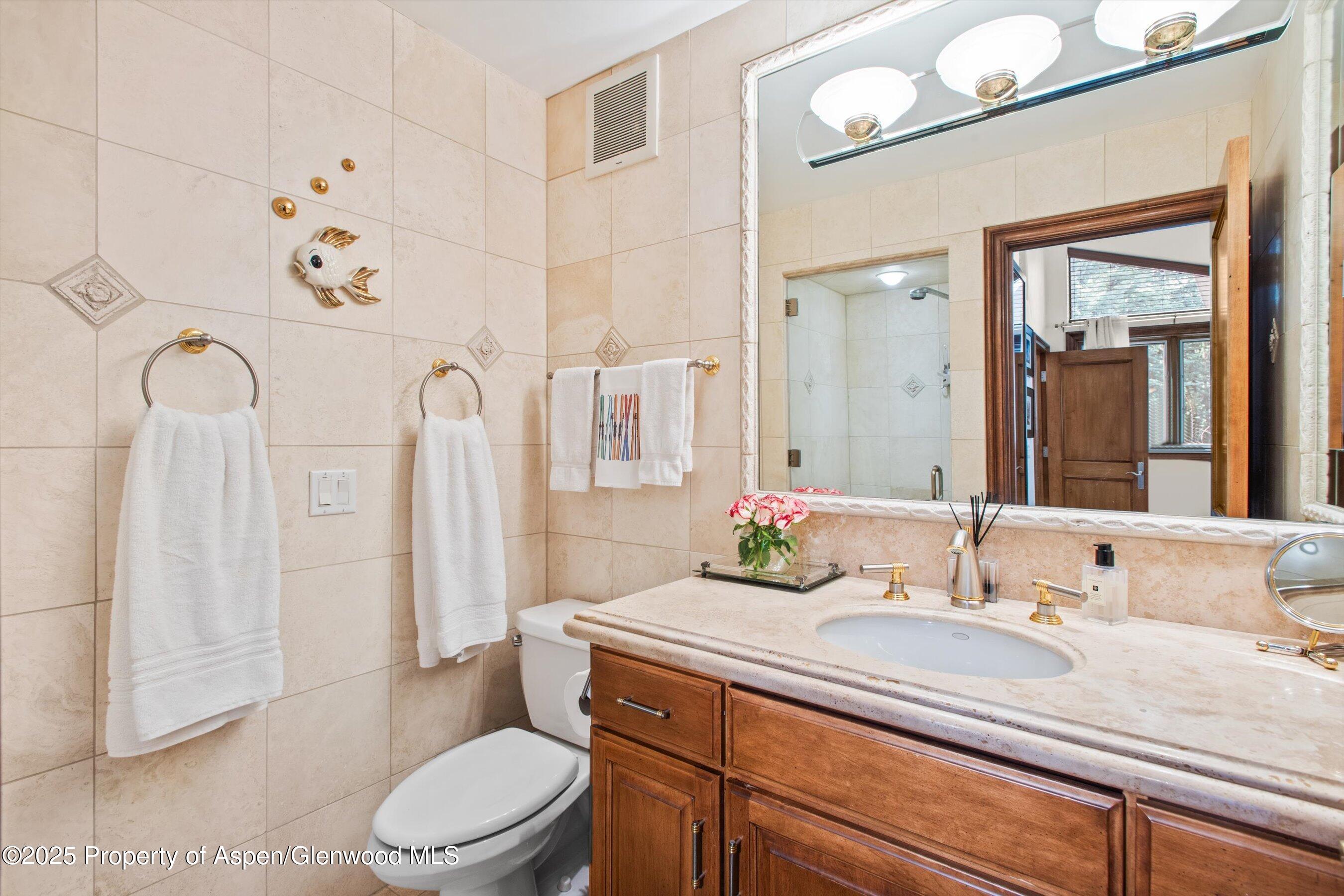 155 Lone Pine Road Aspen CO 81611