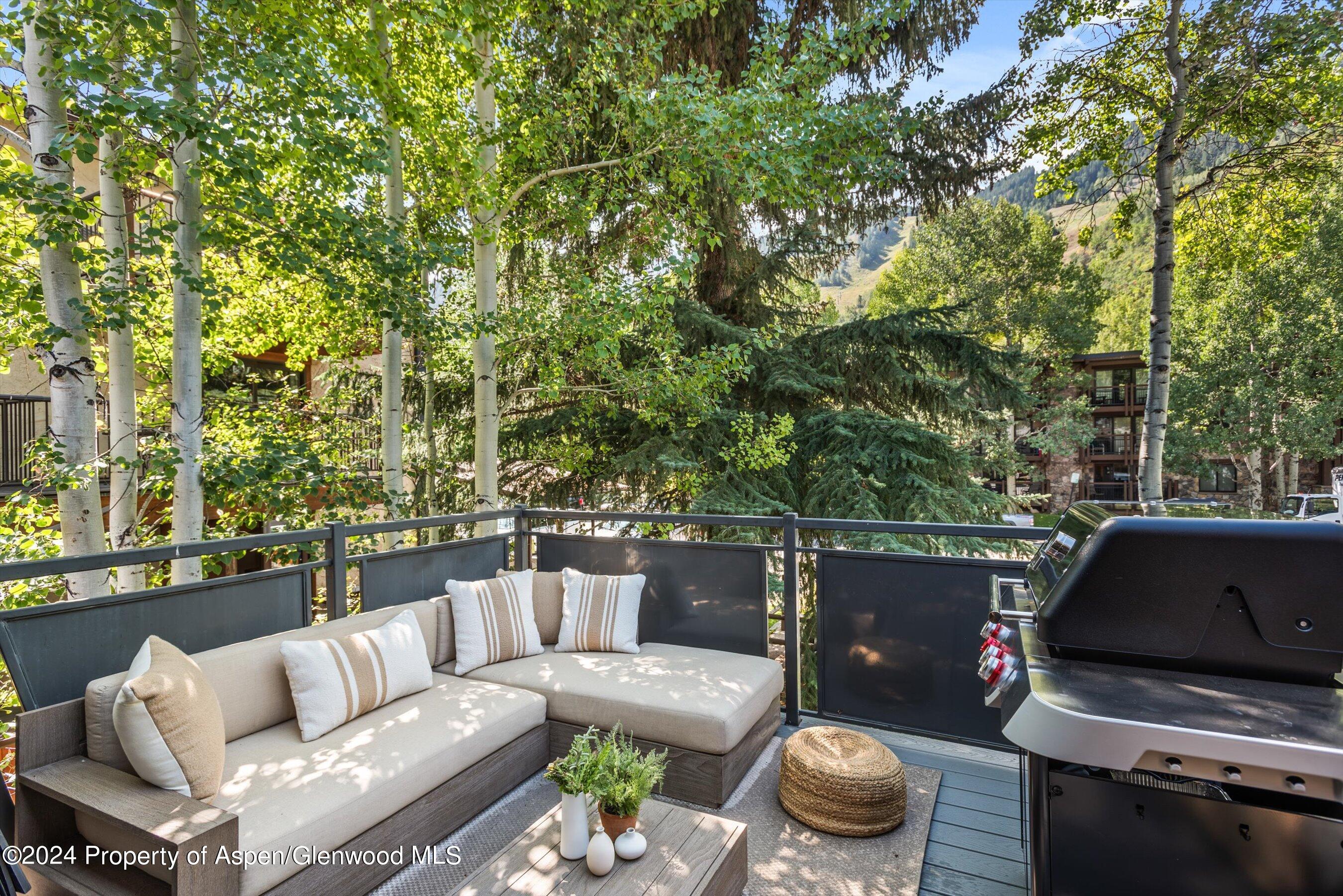 124 E Durant Avenue Aspen CO 81611