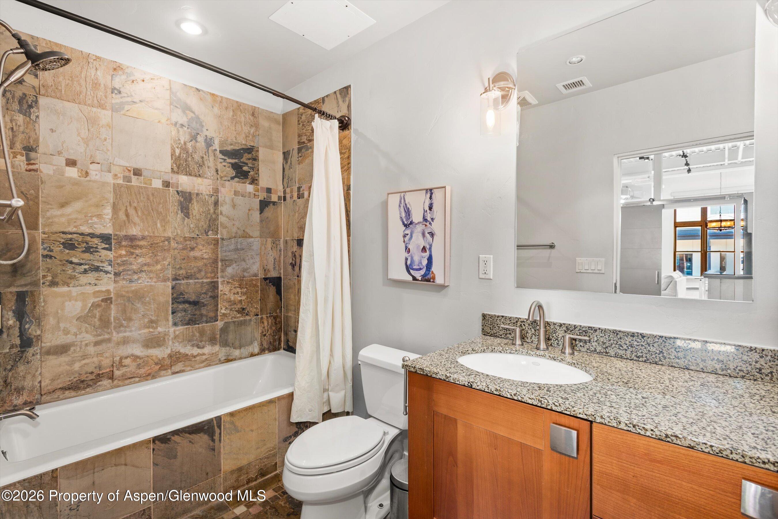 231 Robinson Street Basalt CO 81621
