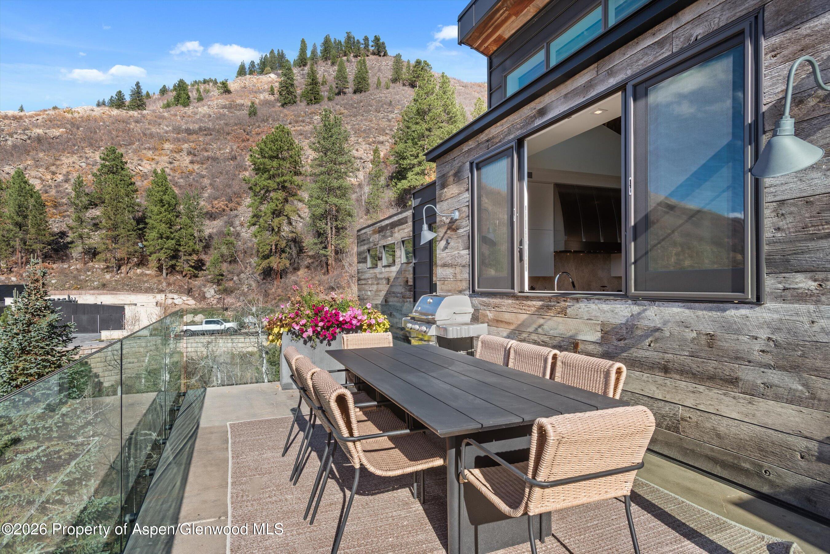 191 Skimming Lane Aspen CO 81611