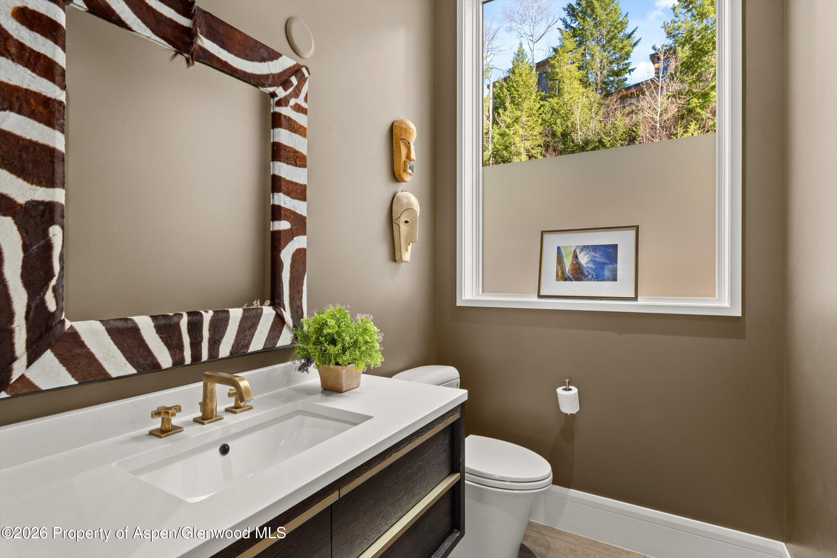 191 Skimming Lane Aspen CO 81611