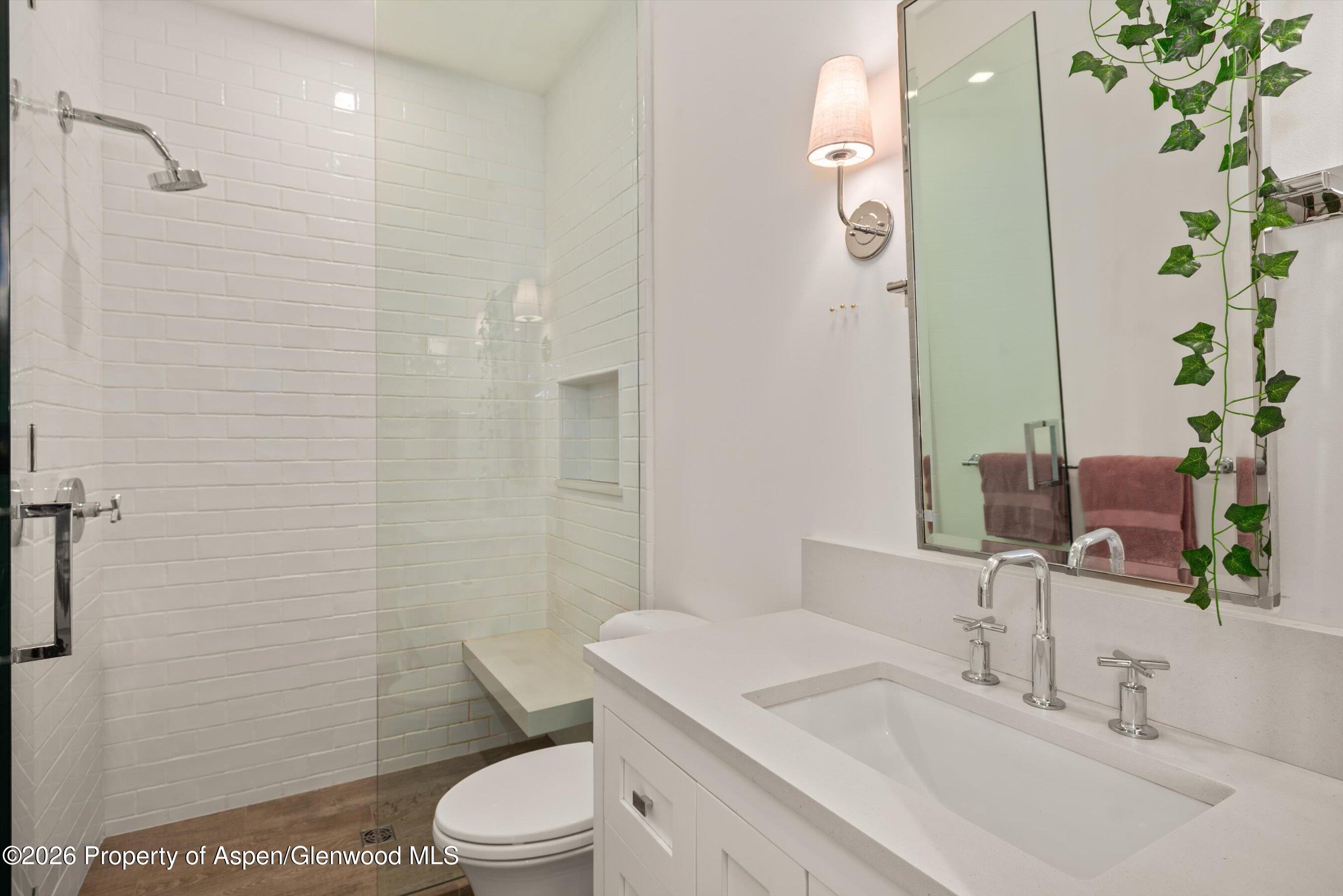 191 Skimming Lane Aspen CO 81611