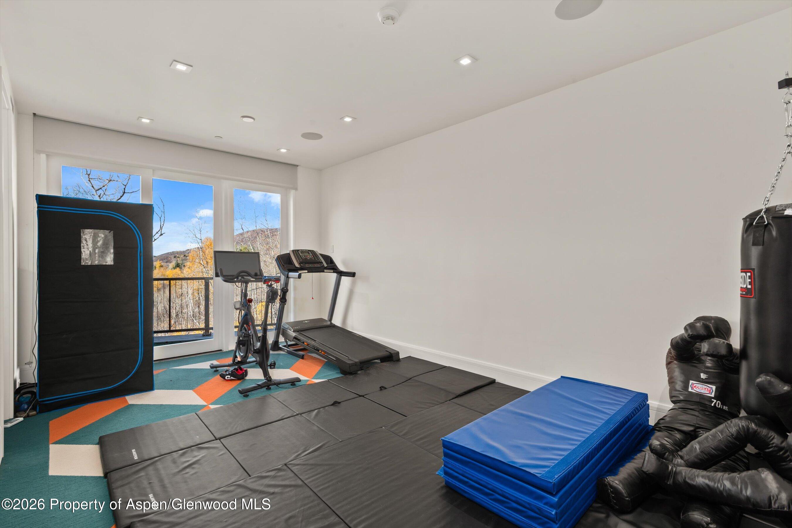 191 Skimming Lane Aspen CO 81611