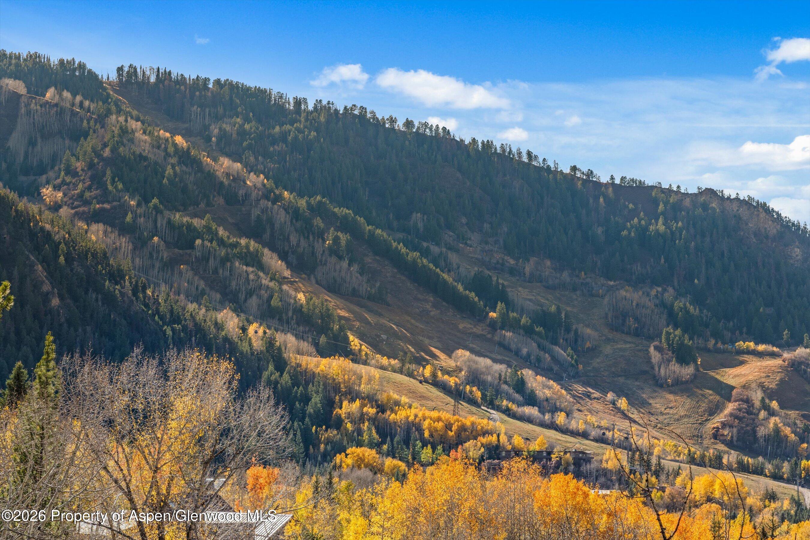 191 Skimming Lane Aspen CO 81611