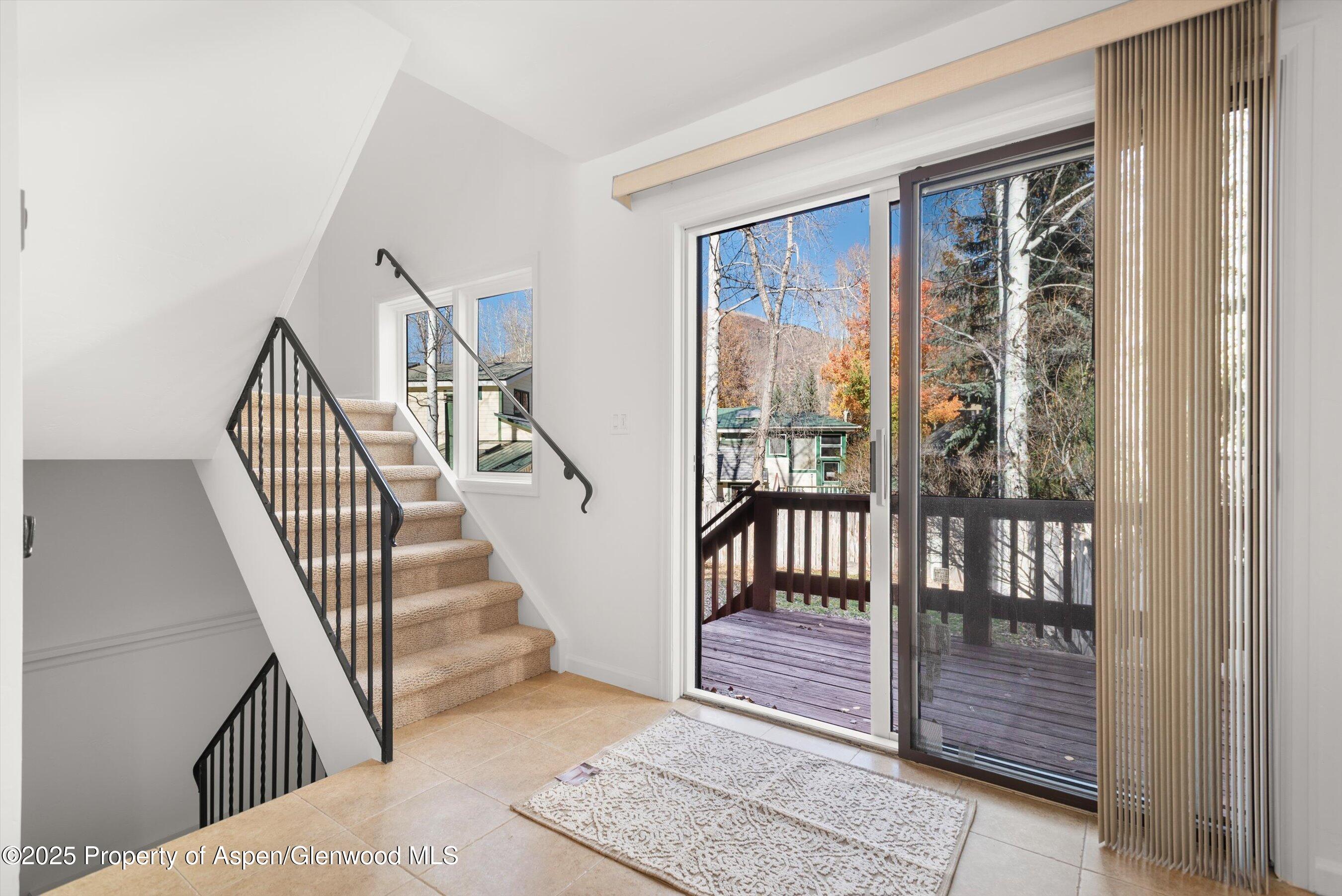 1120 Dale Avenue Aspen CO 81611