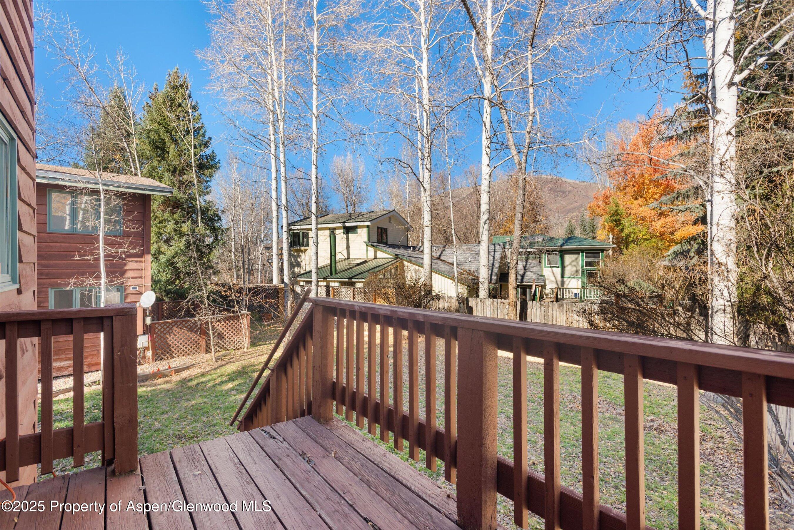 1120 Dale Avenue Aspen CO 81611