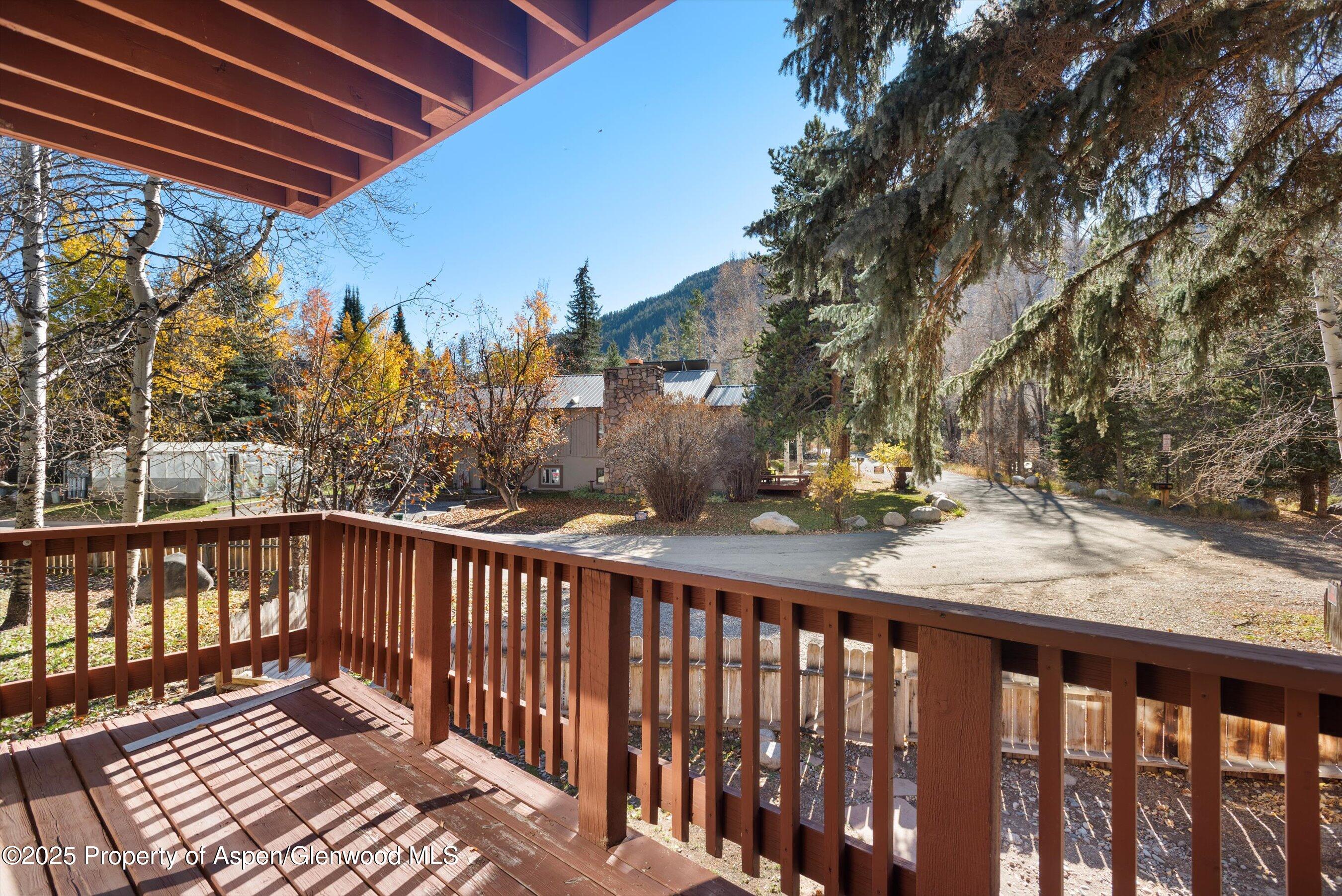 1120 Dale Avenue Aspen CO 81611