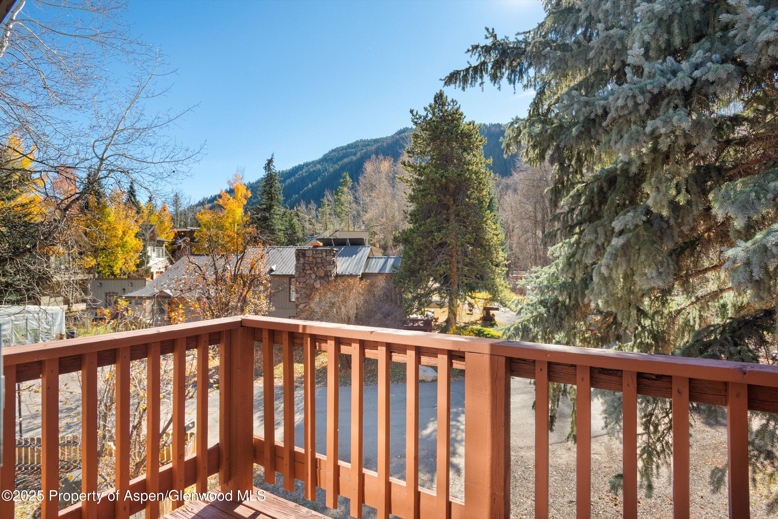 1120 Dale Avenue Aspen CO 81611