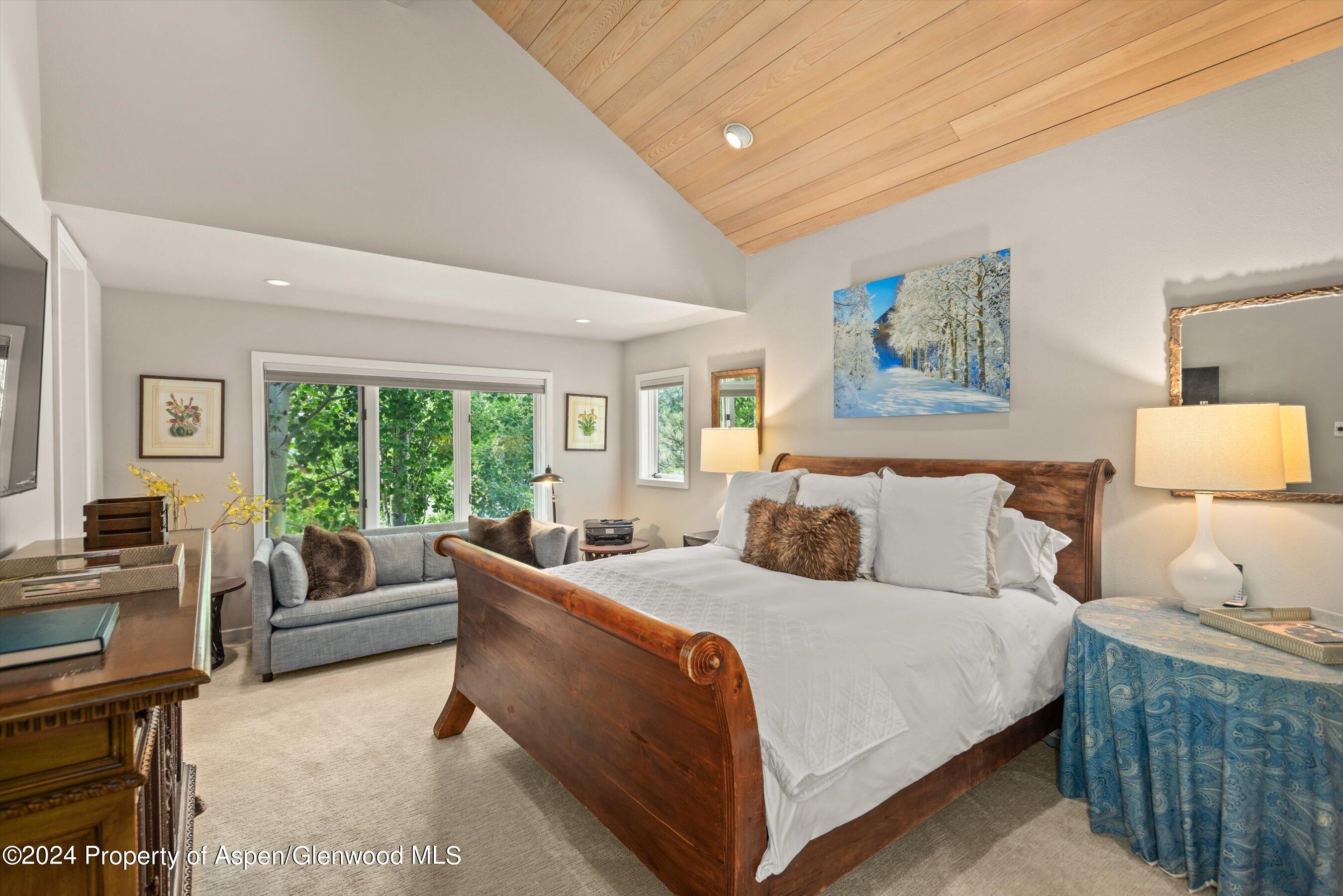 123 W Hyman Avenue Aspen CO 81611