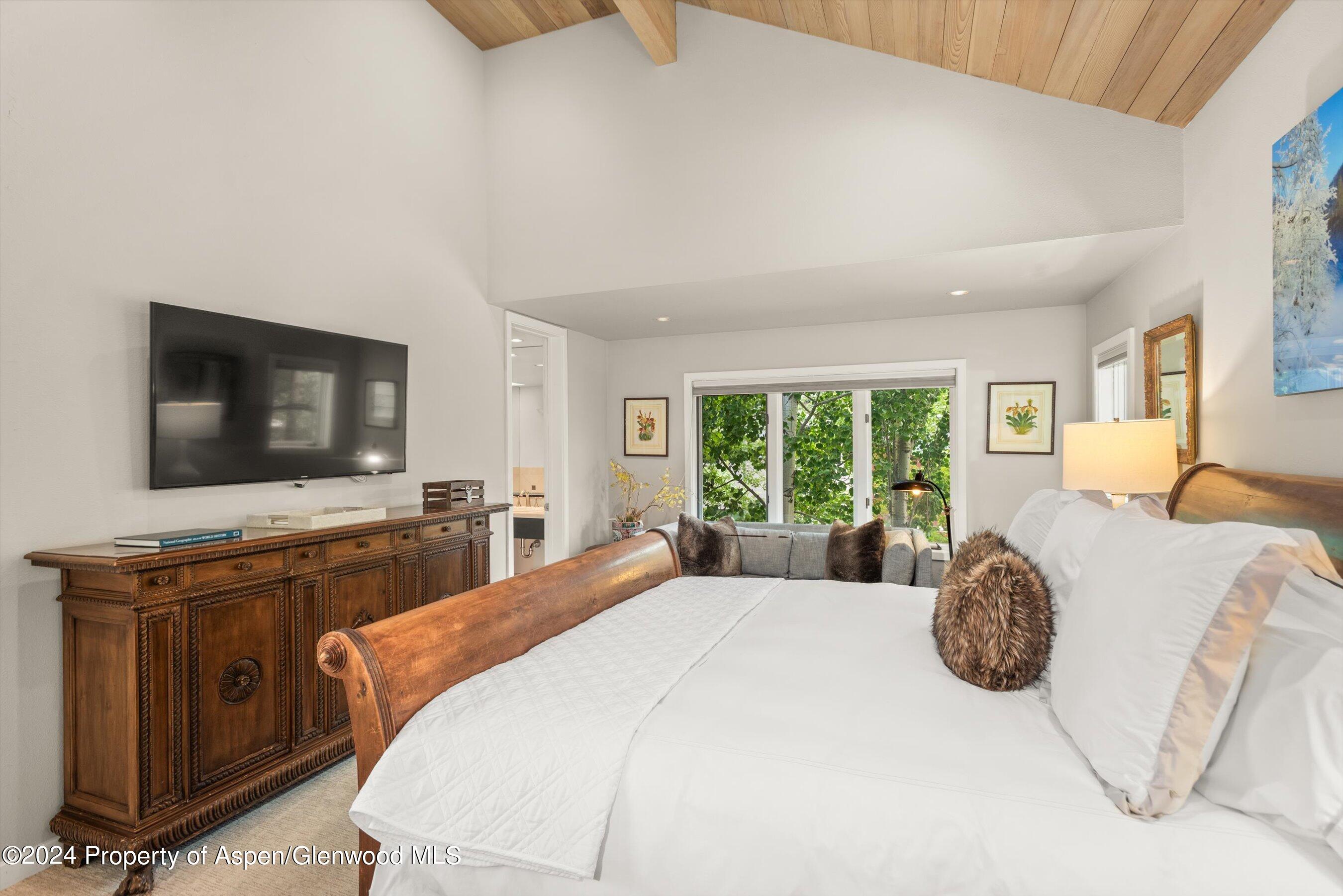 123 W Hyman Avenue Aspen CO 81611