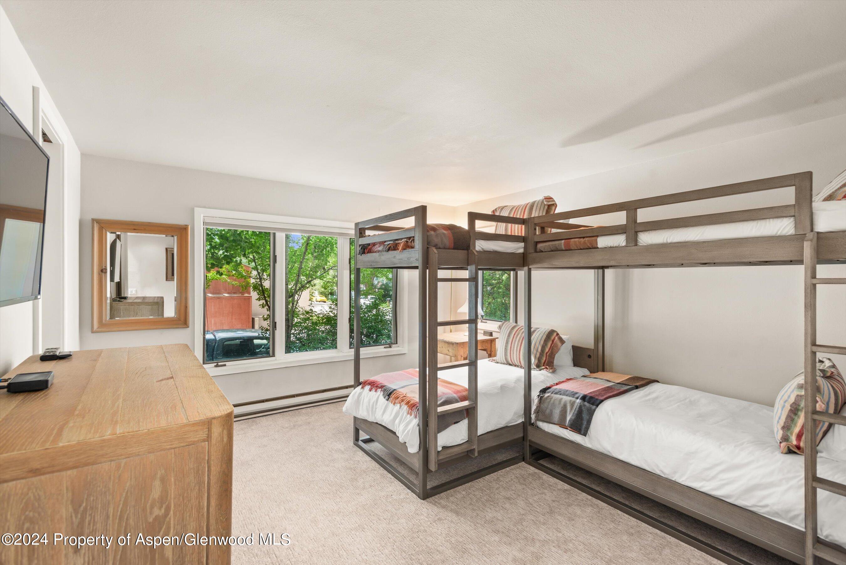 123 W Hyman Avenue Aspen CO 81611