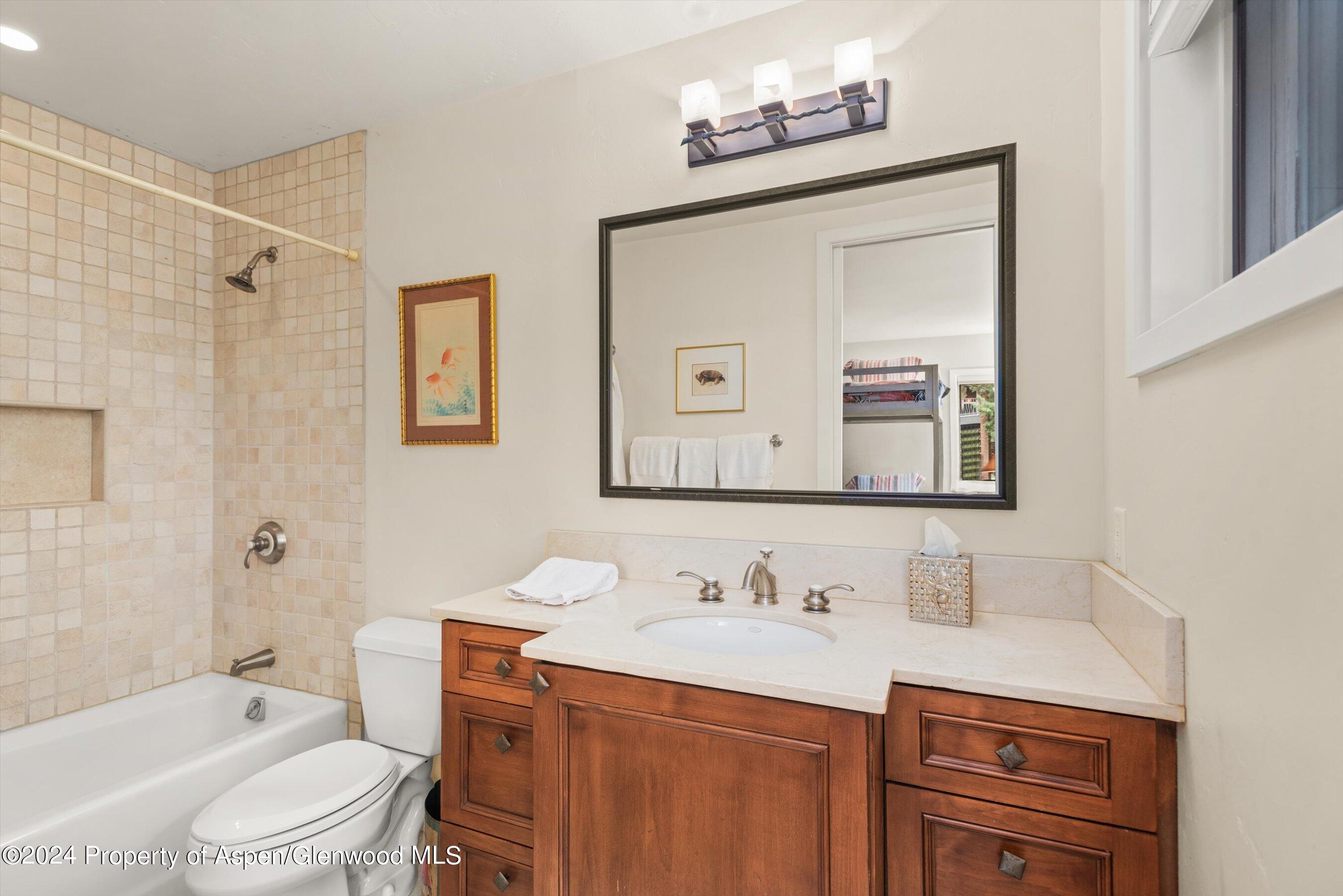 123 W Hyman Avenue Aspen CO 81611