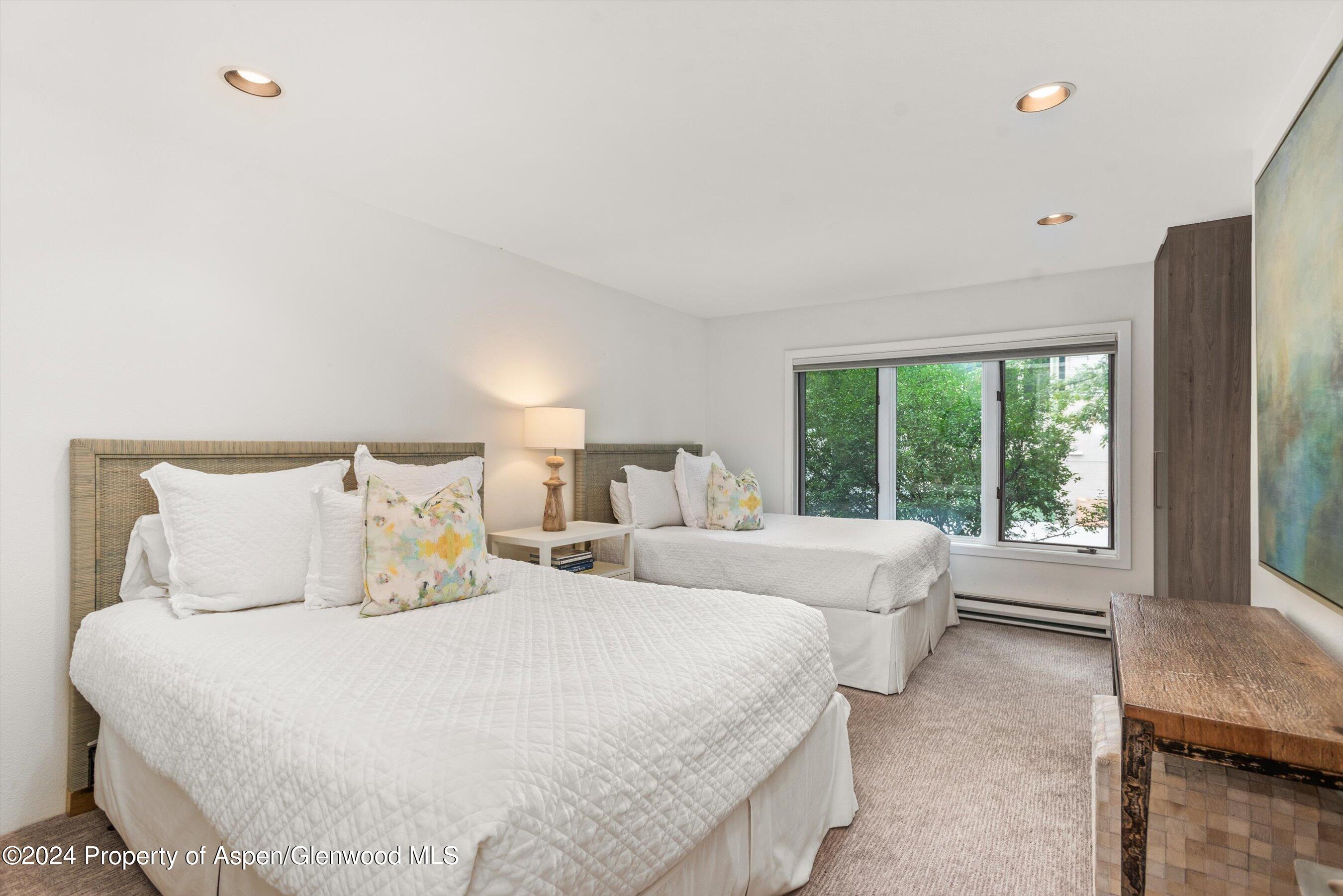 123 W Hyman Avenue Aspen CO 81611