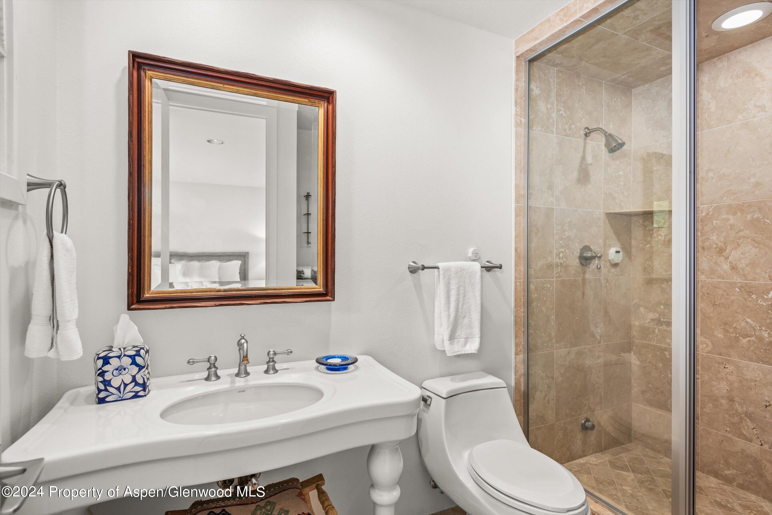 123 W Hyman Avenue Aspen CO 81611