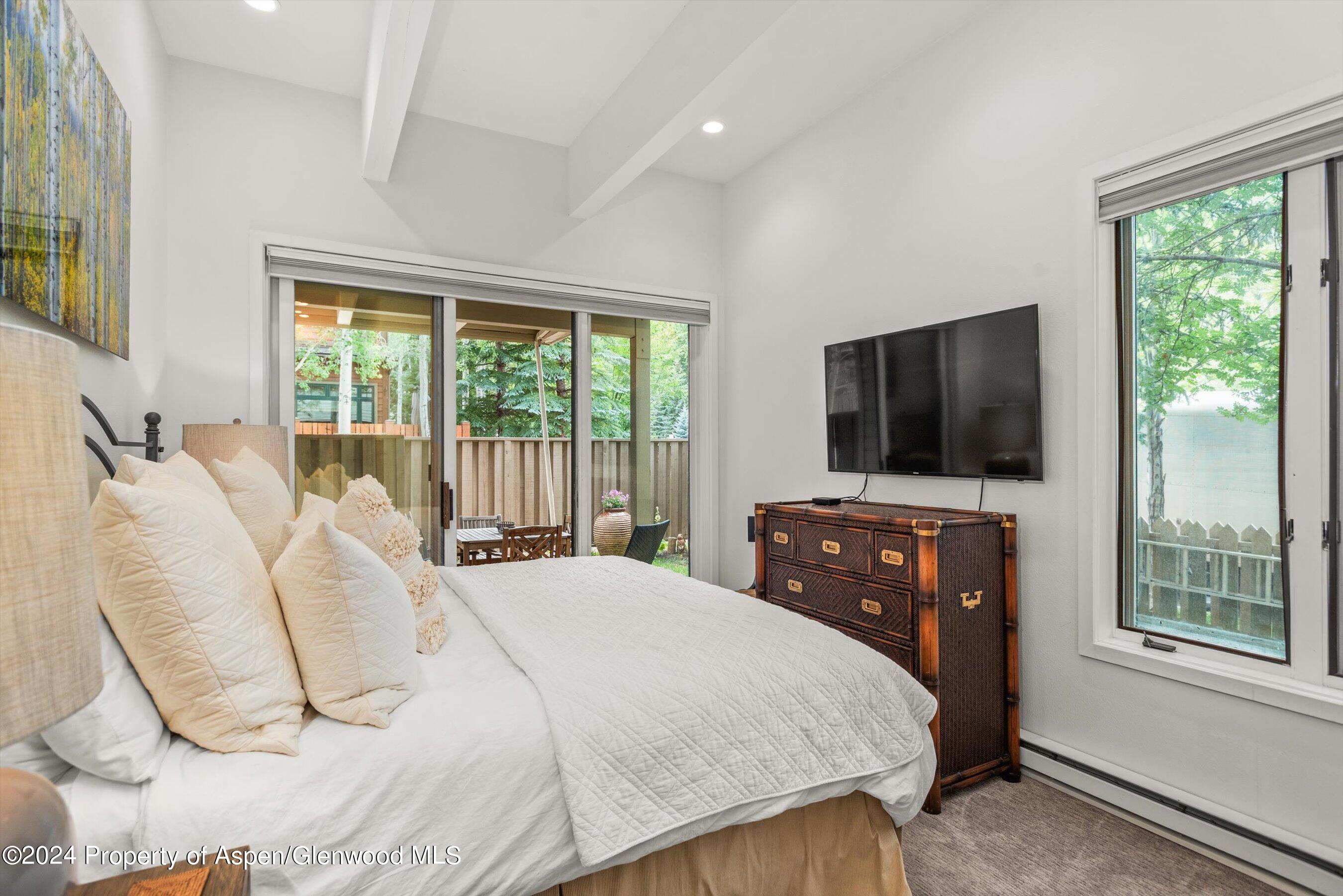 123 W Hyman Avenue Aspen CO 81611