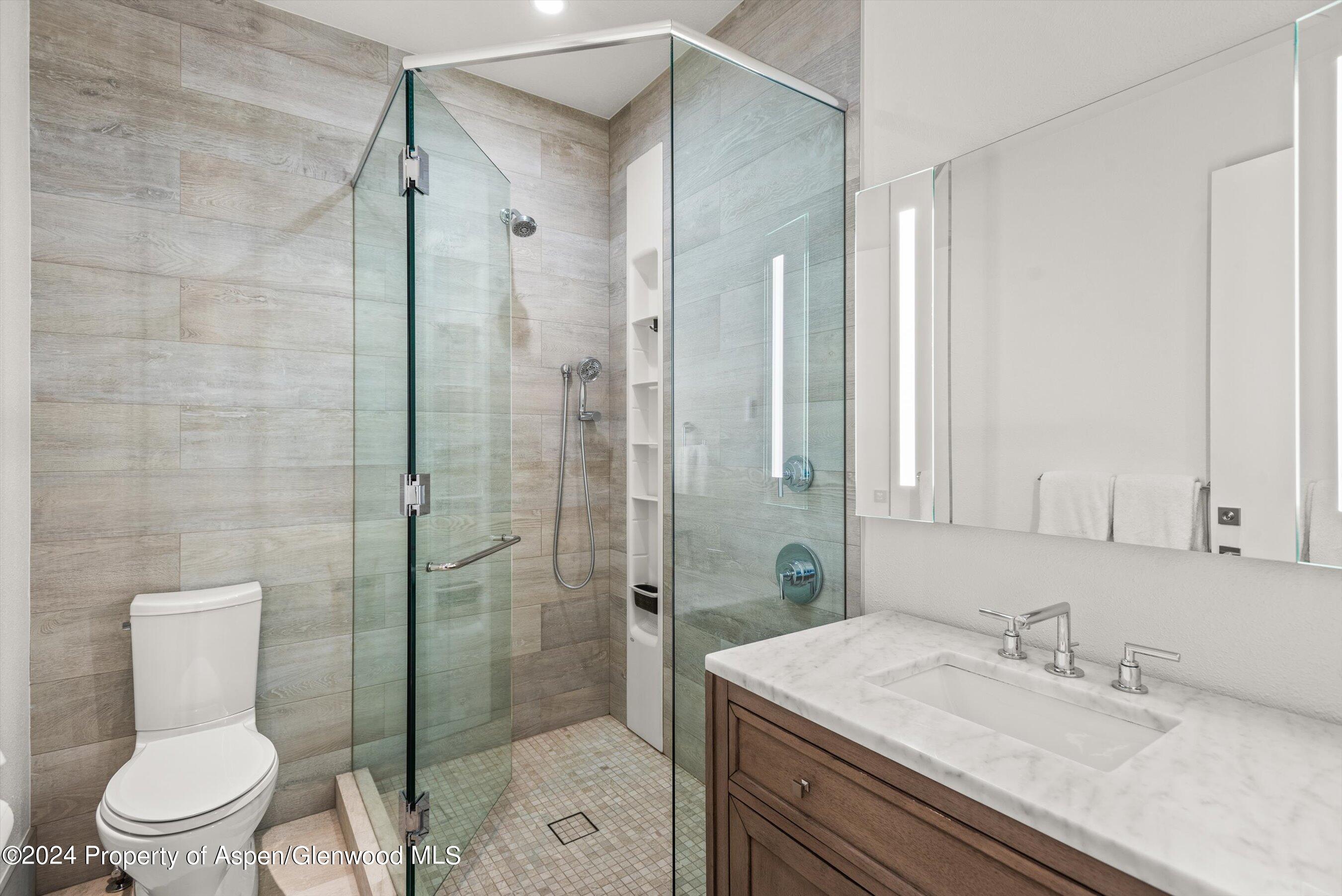 123 W Hyman Avenue Aspen CO 81611