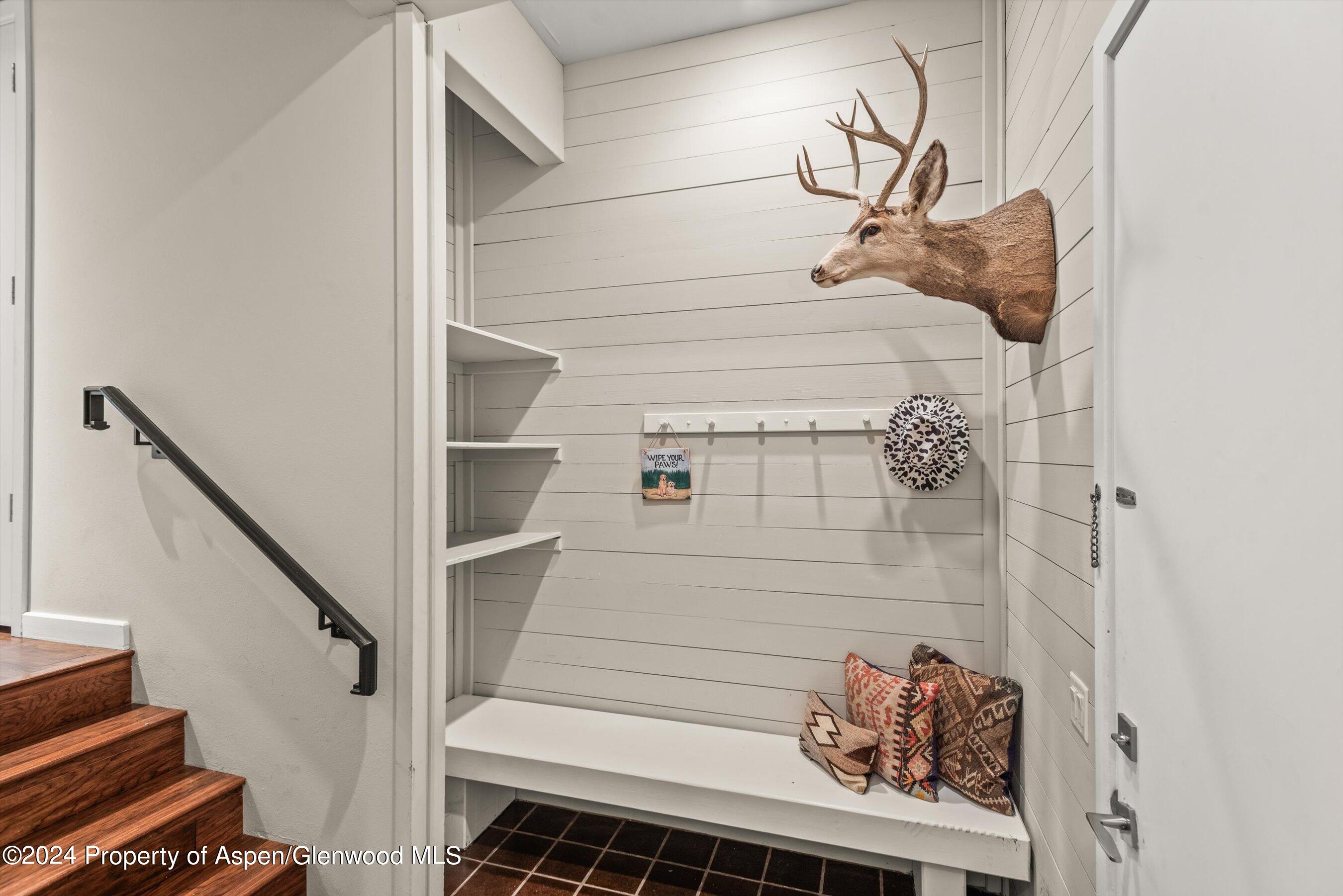 123 W Hyman Avenue Aspen CO 81611