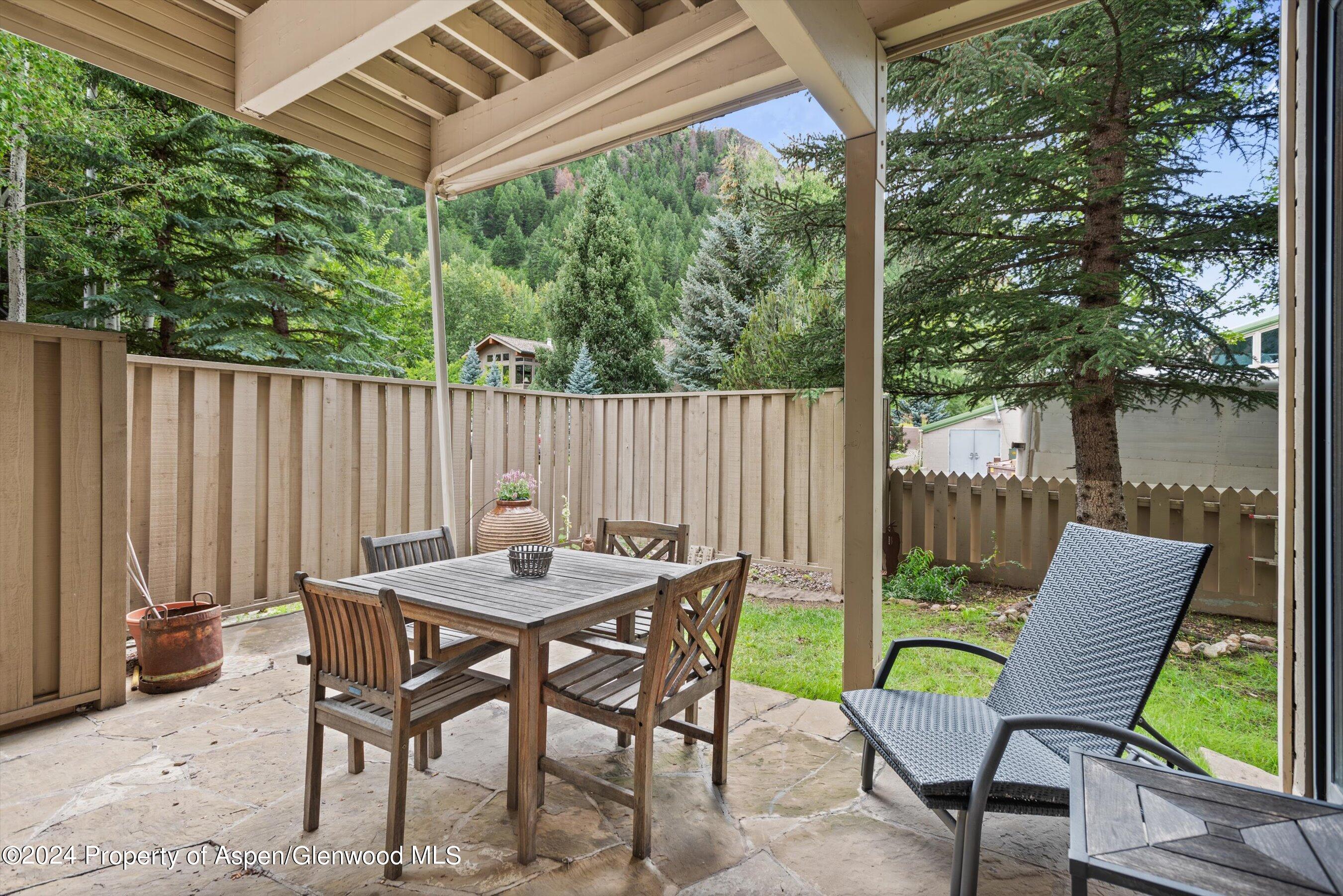 123 W Hyman Avenue Aspen CO 81611