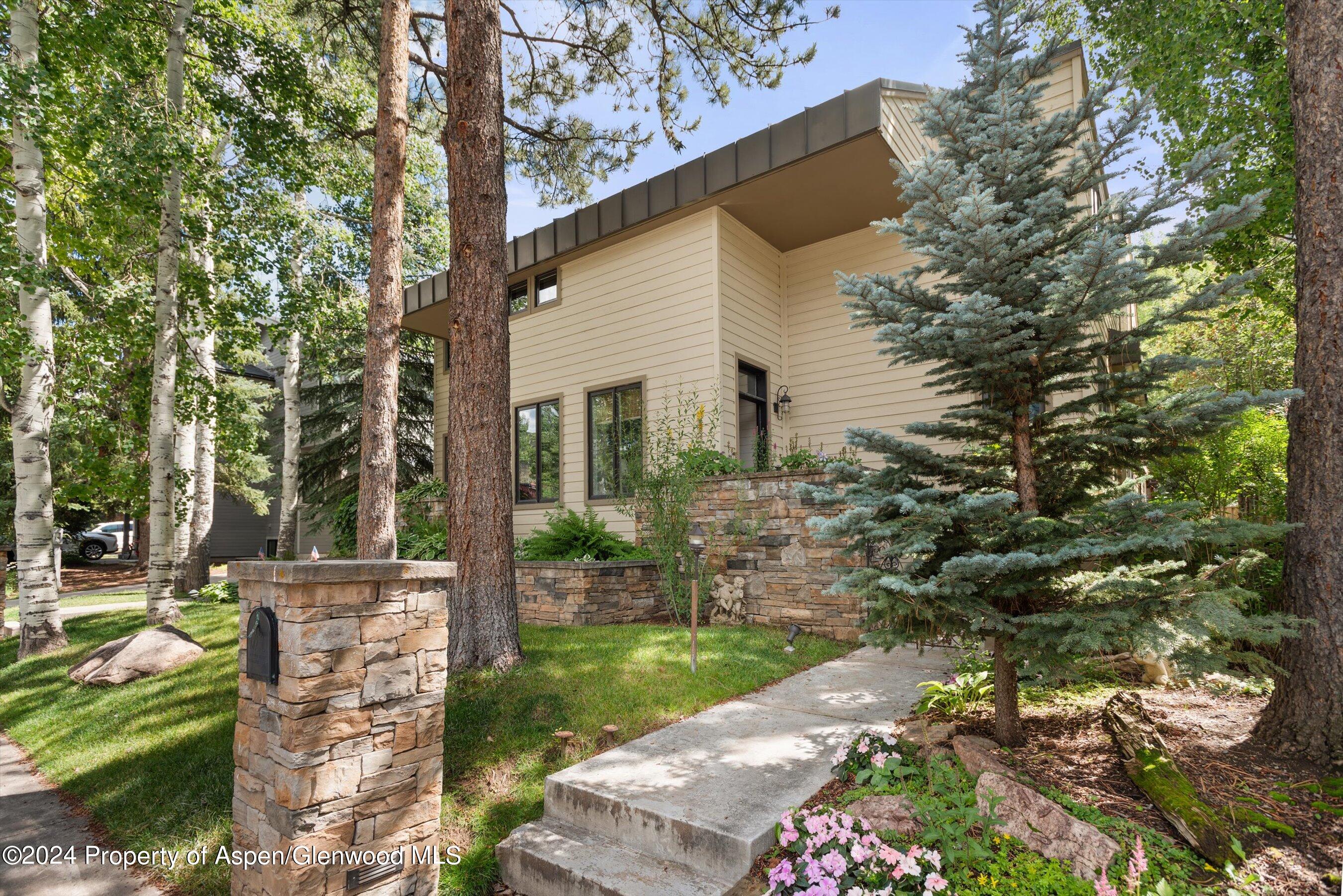 123 W Hyman Avenue Aspen CO 81611