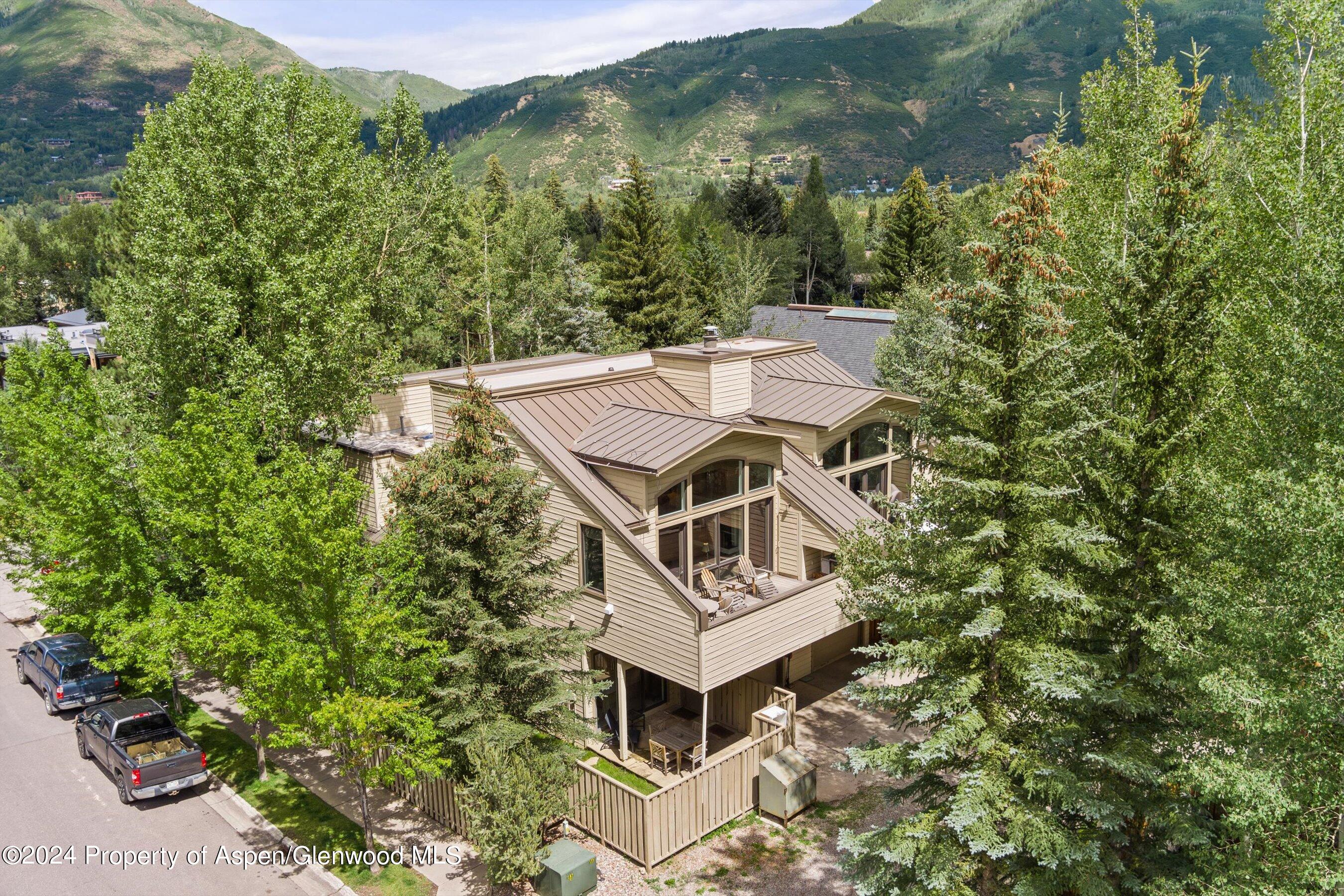 123 W Hyman Avenue Aspen CO 81611