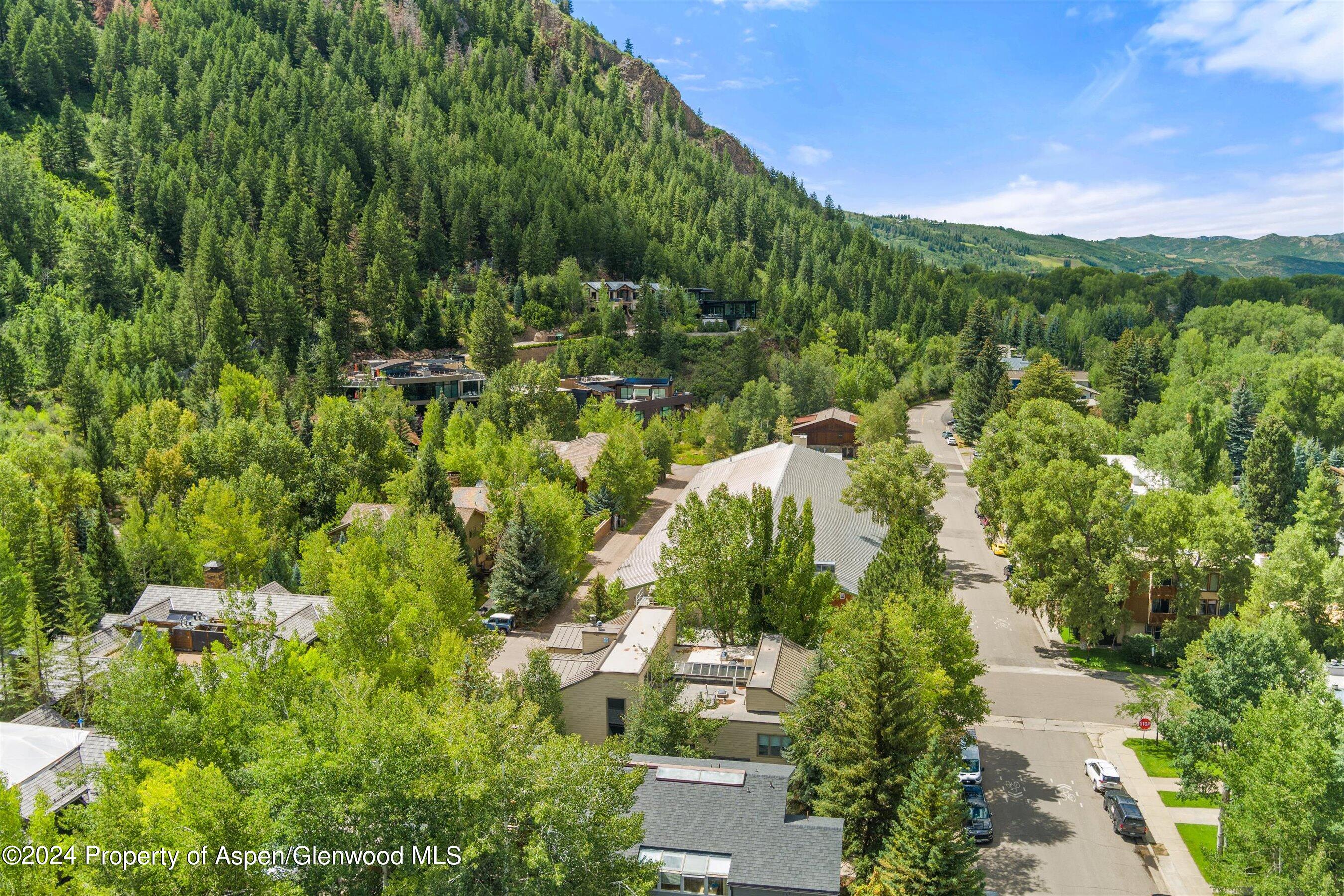 123 W Hyman Avenue Aspen CO 81611