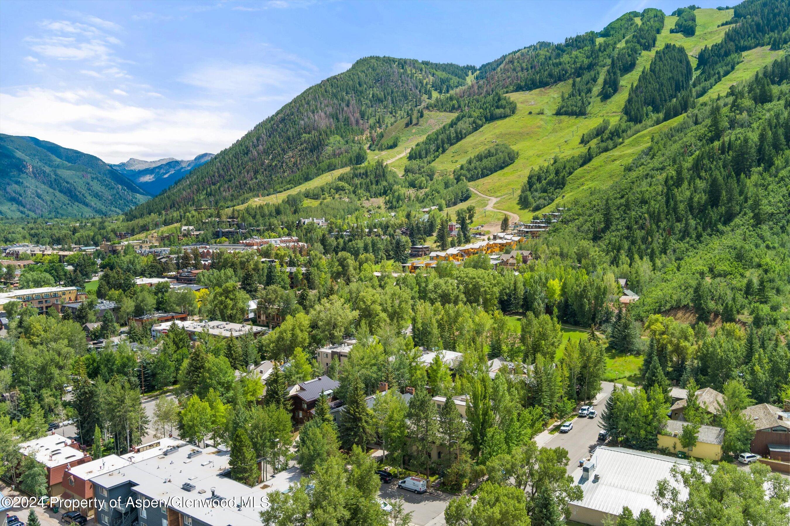 123 W Hyman Avenue Aspen CO 81611