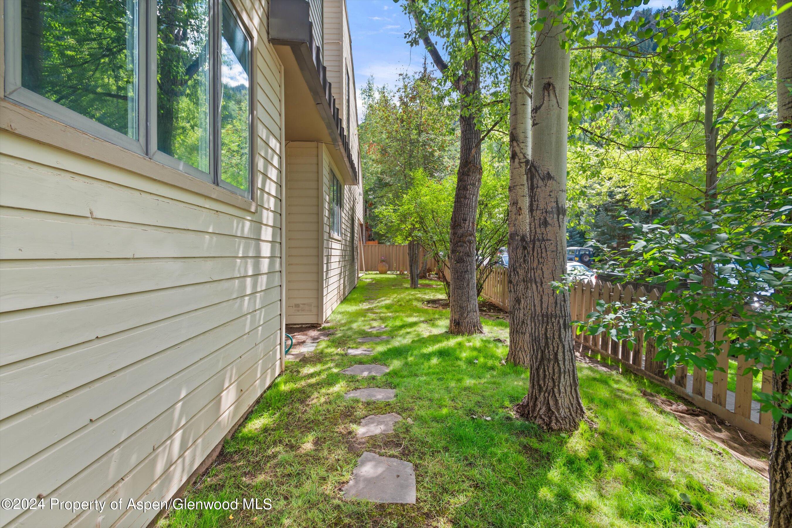 123 W Hyman Avenue Aspen CO 81611