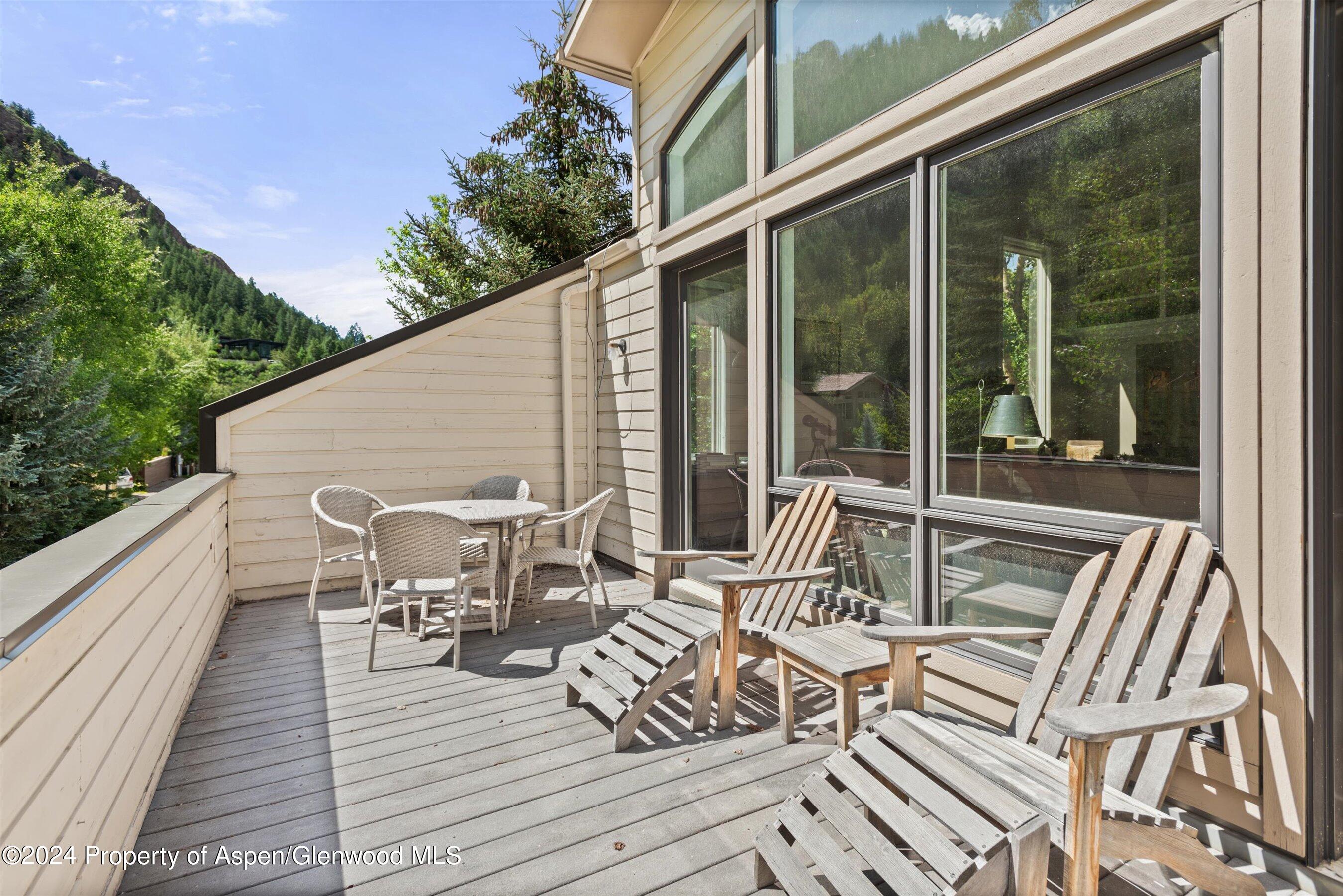 123 W Hyman Avenue Aspen CO 81611