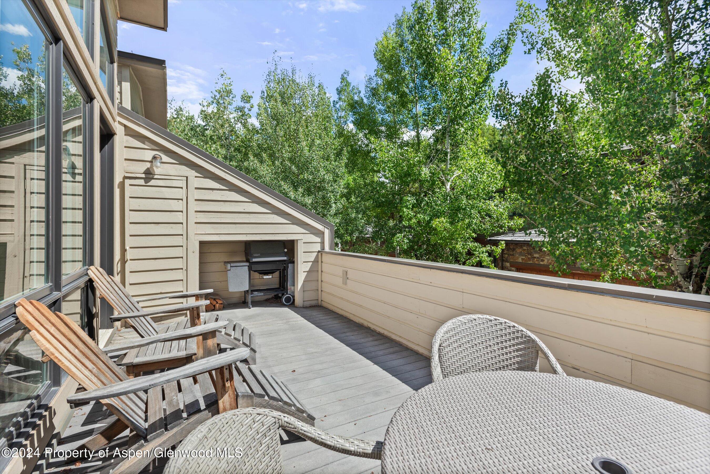 123 W Hyman Avenue Aspen CO 81611