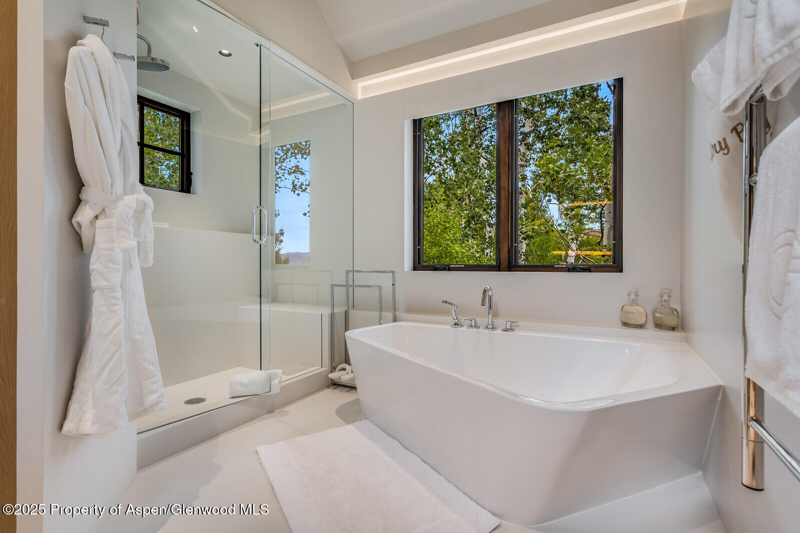 511+563 Edgewood Lane Snowmass Village CO 81615