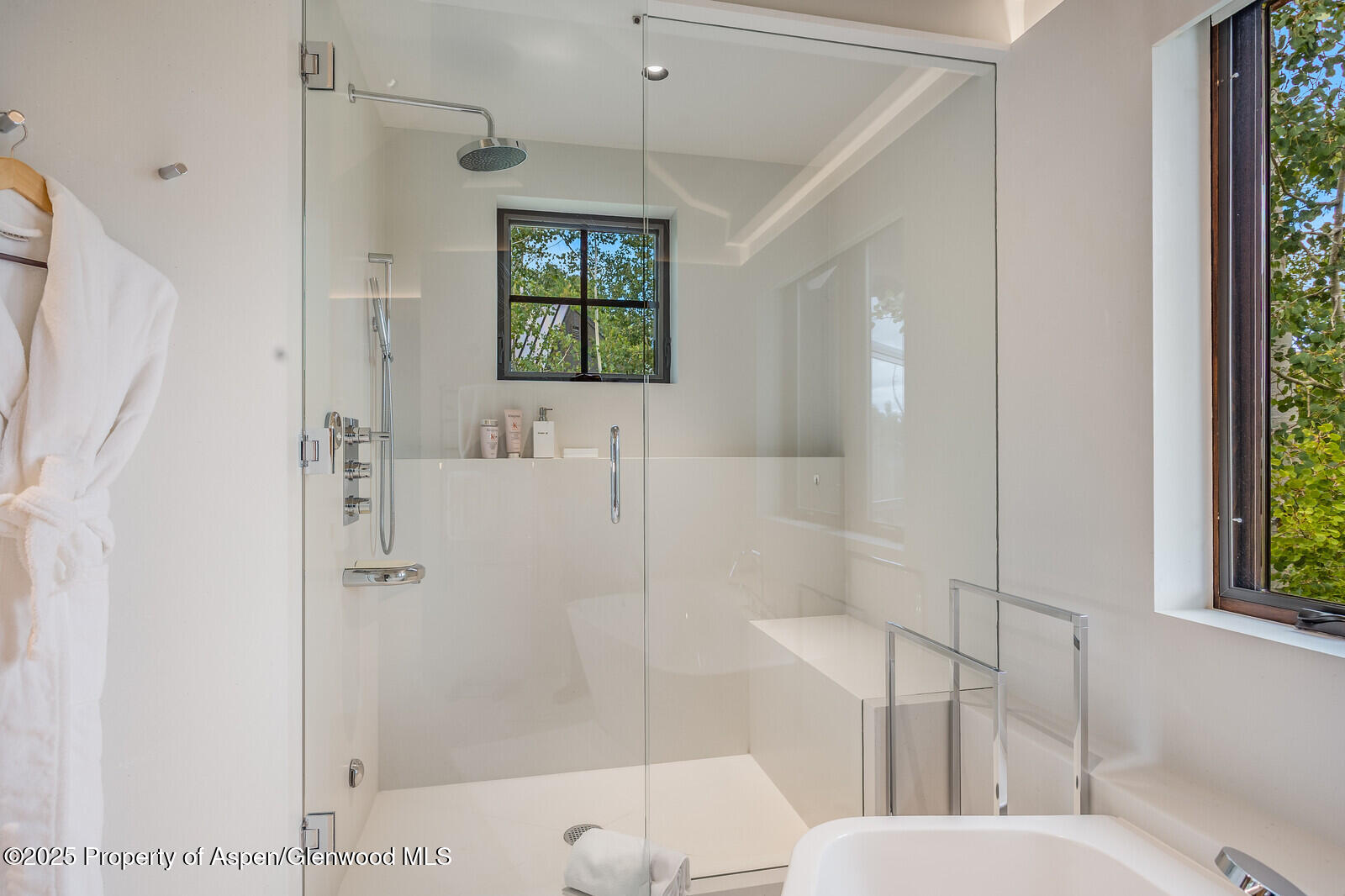 511+563 Edgewood Lane Snowmass Village CO 81615