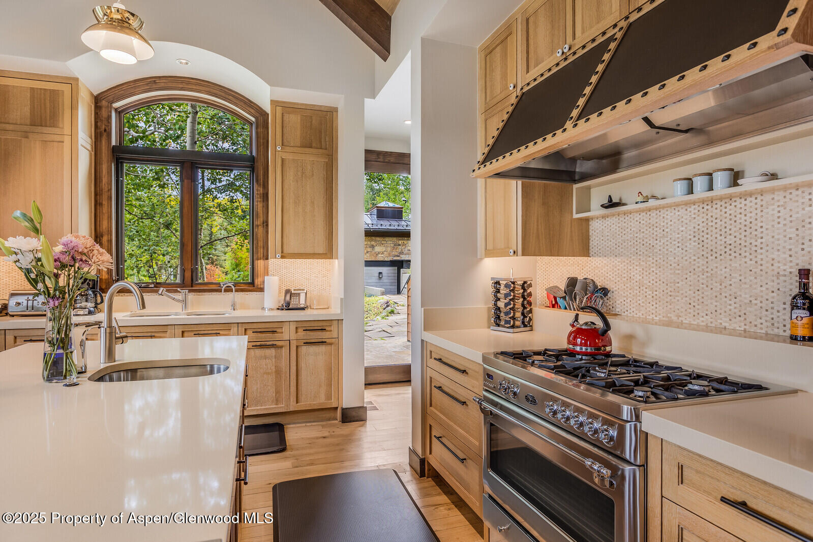 511+563 Edgewood Lane Snowmass Village CO 81615