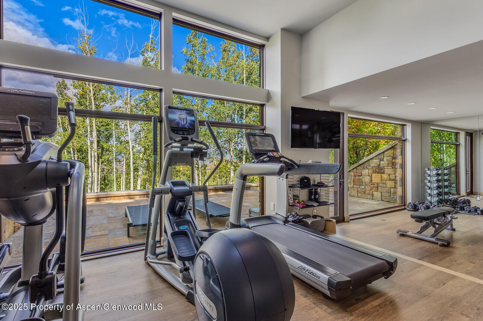 511+563 Edgewood Lane Snowmass Village CO 81615