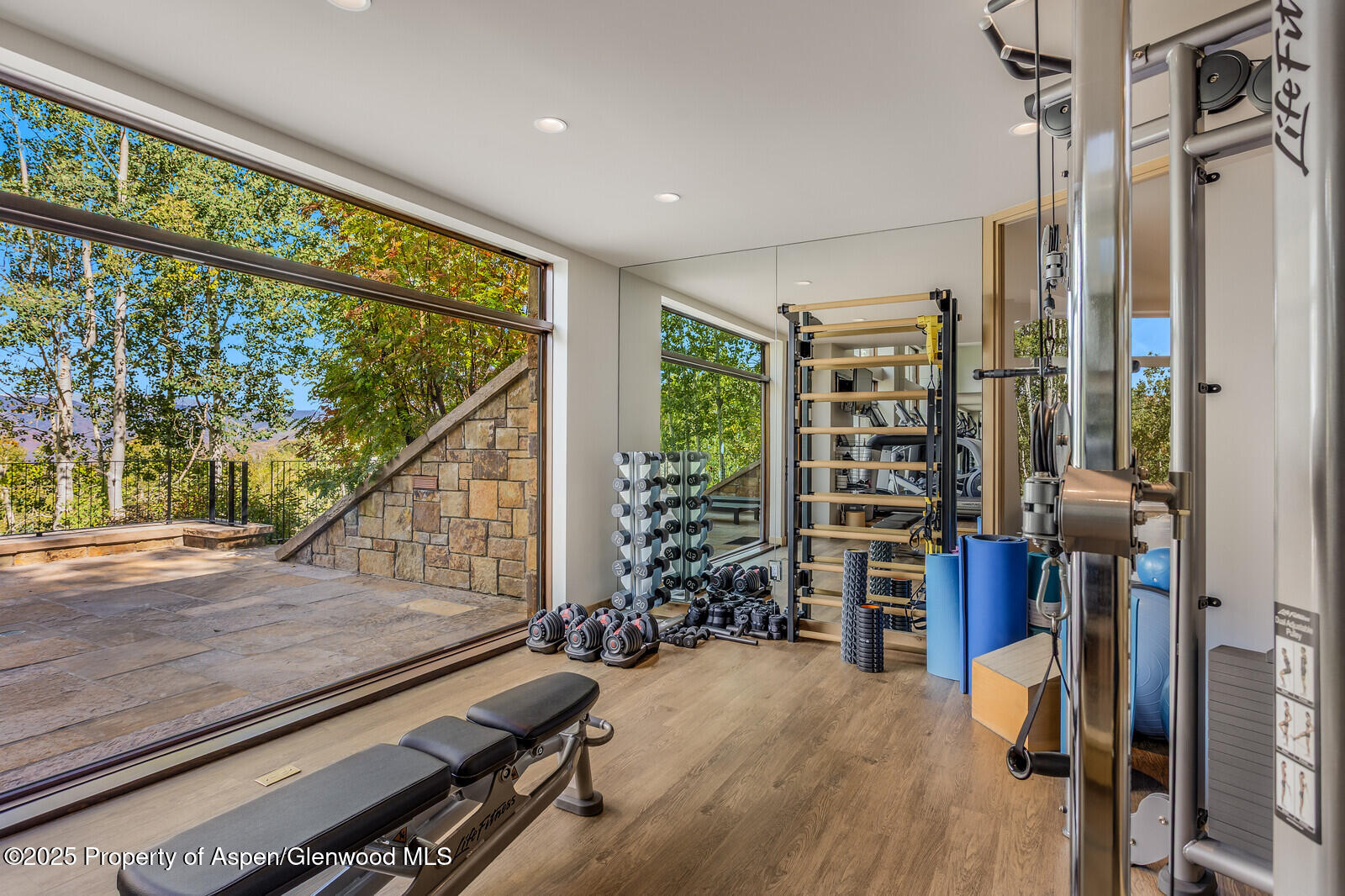 511+563 Edgewood Lane Snowmass Village CO 81615