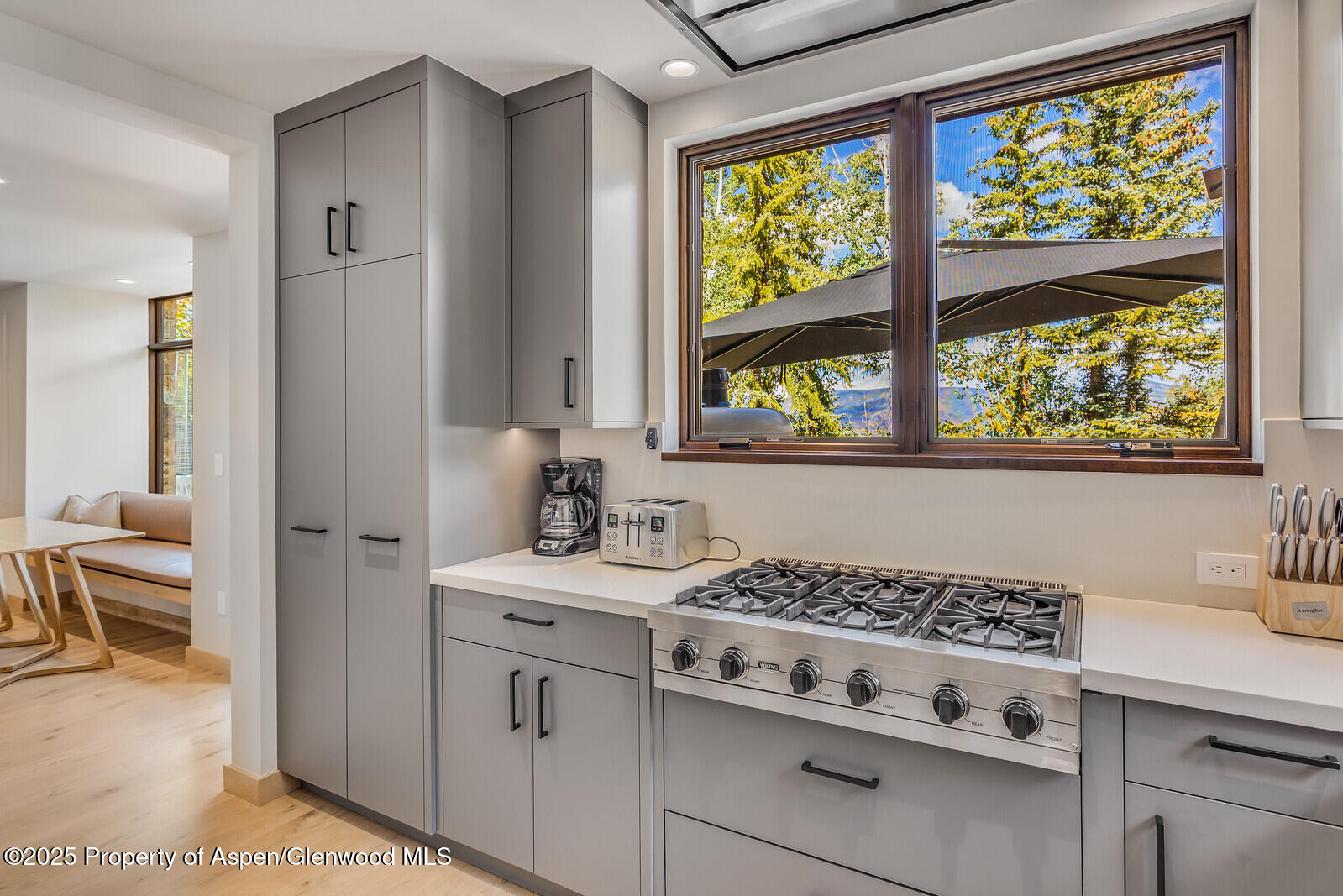 511+563 Edgewood Lane Snowmass Village CO 81615