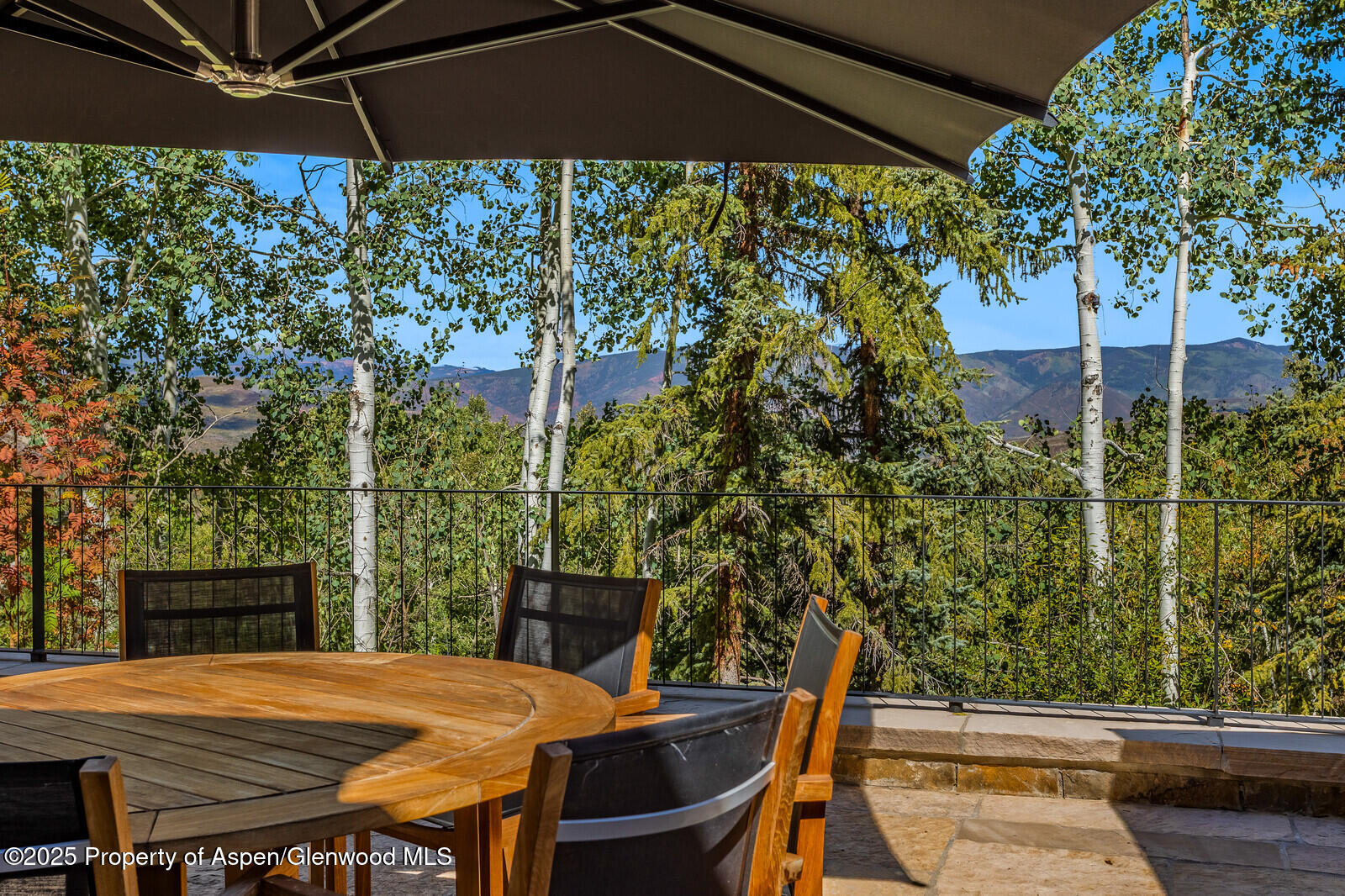 511+563 Edgewood Lane Snowmass Village CO 81615