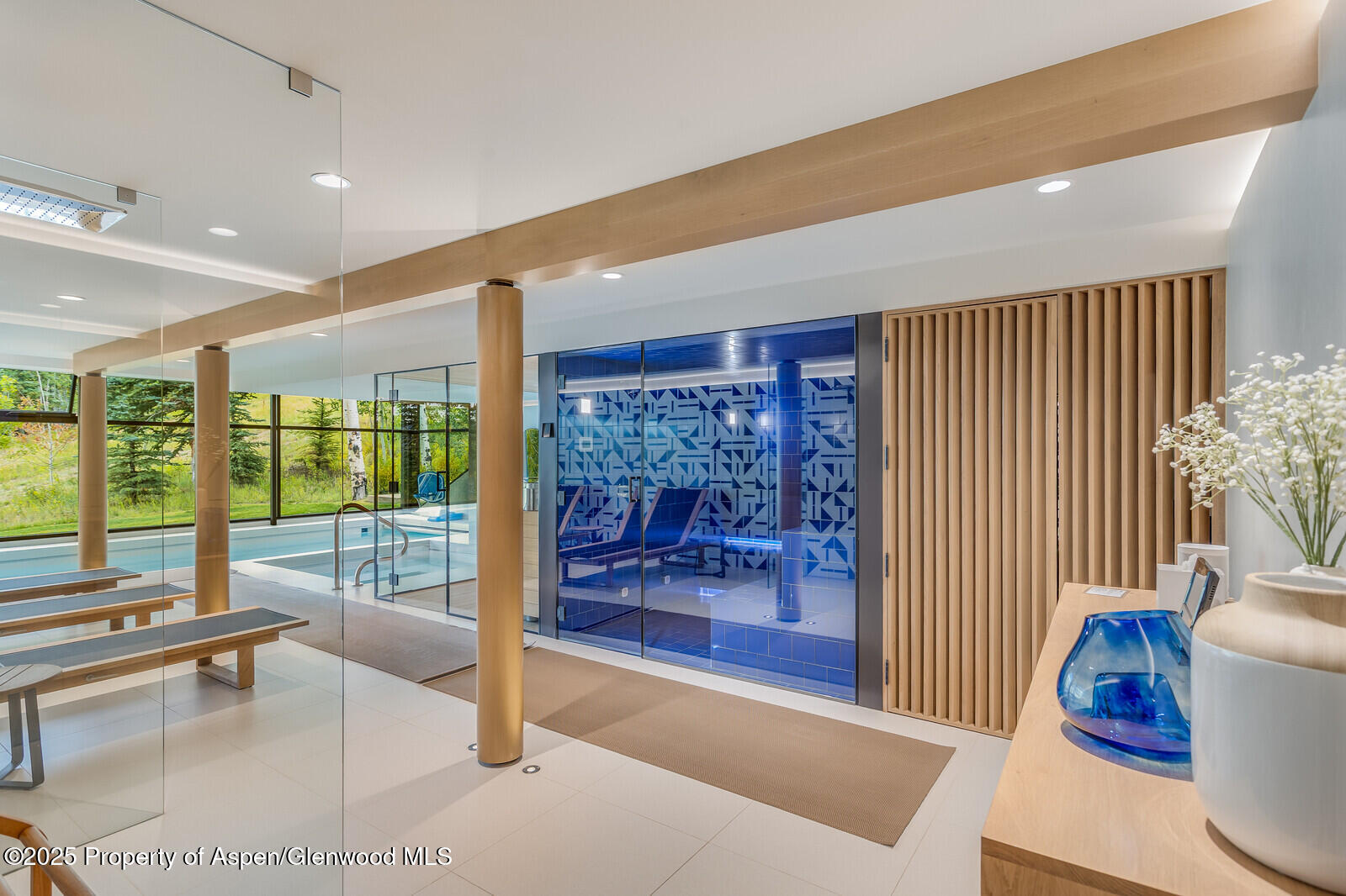 511+563 Edgewood Lane Snowmass Village CO 81615