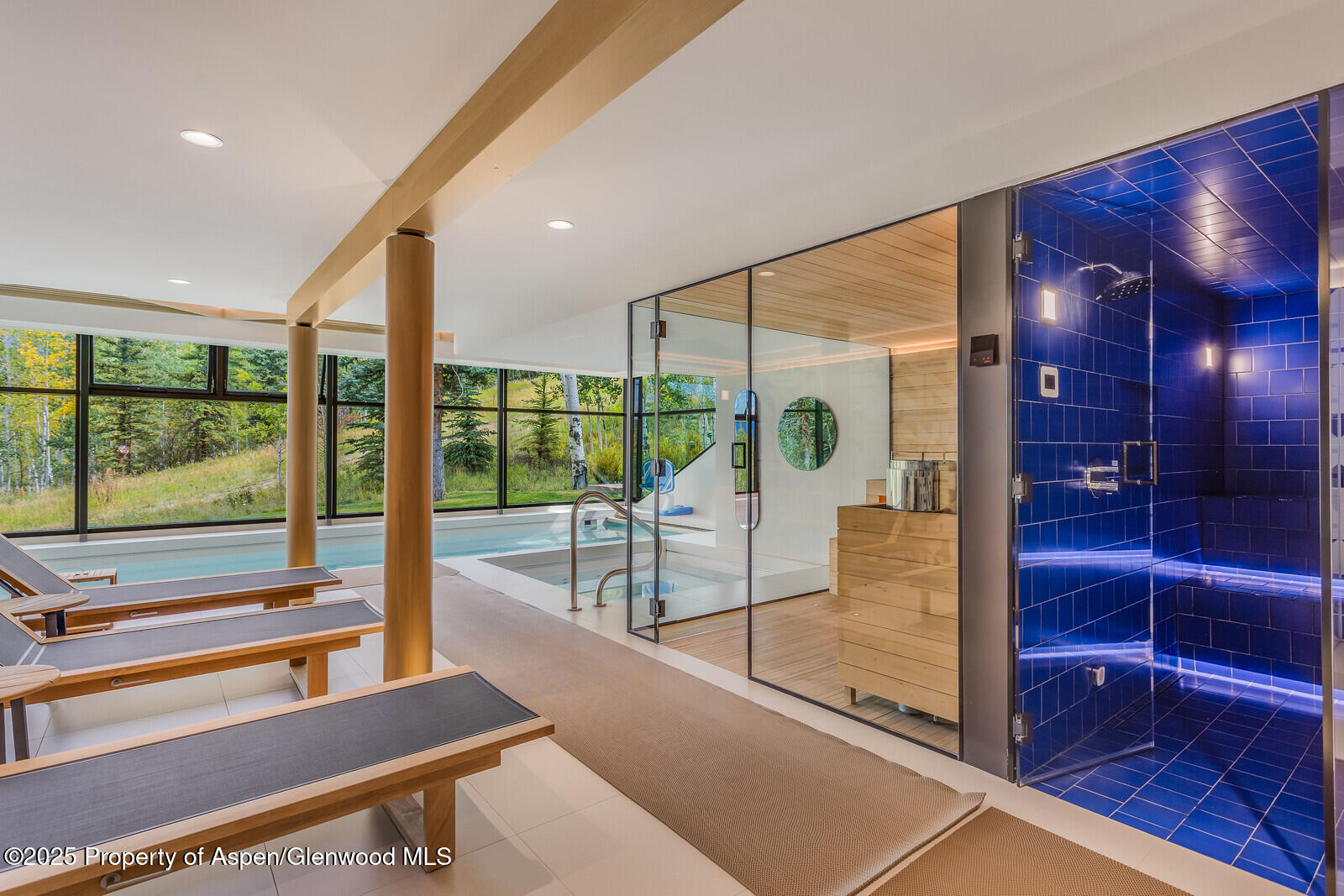 511+563 Edgewood Lane Snowmass Village CO 81615