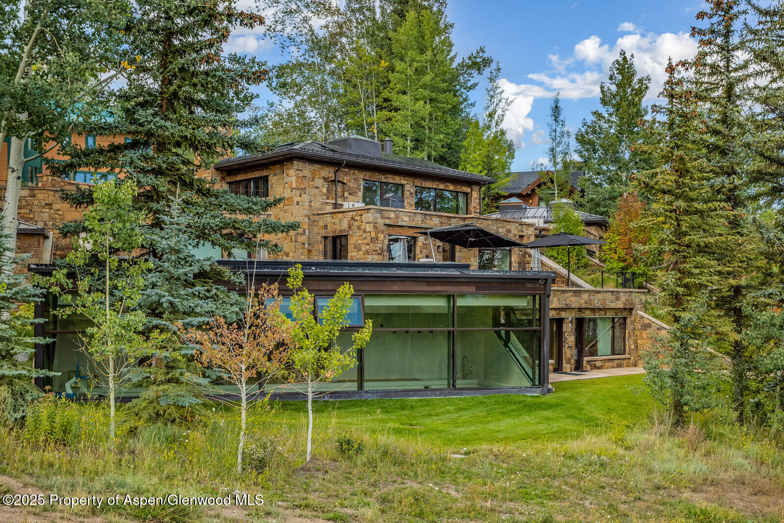 511+563 Edgewood Lane Snowmass Village CO 81615