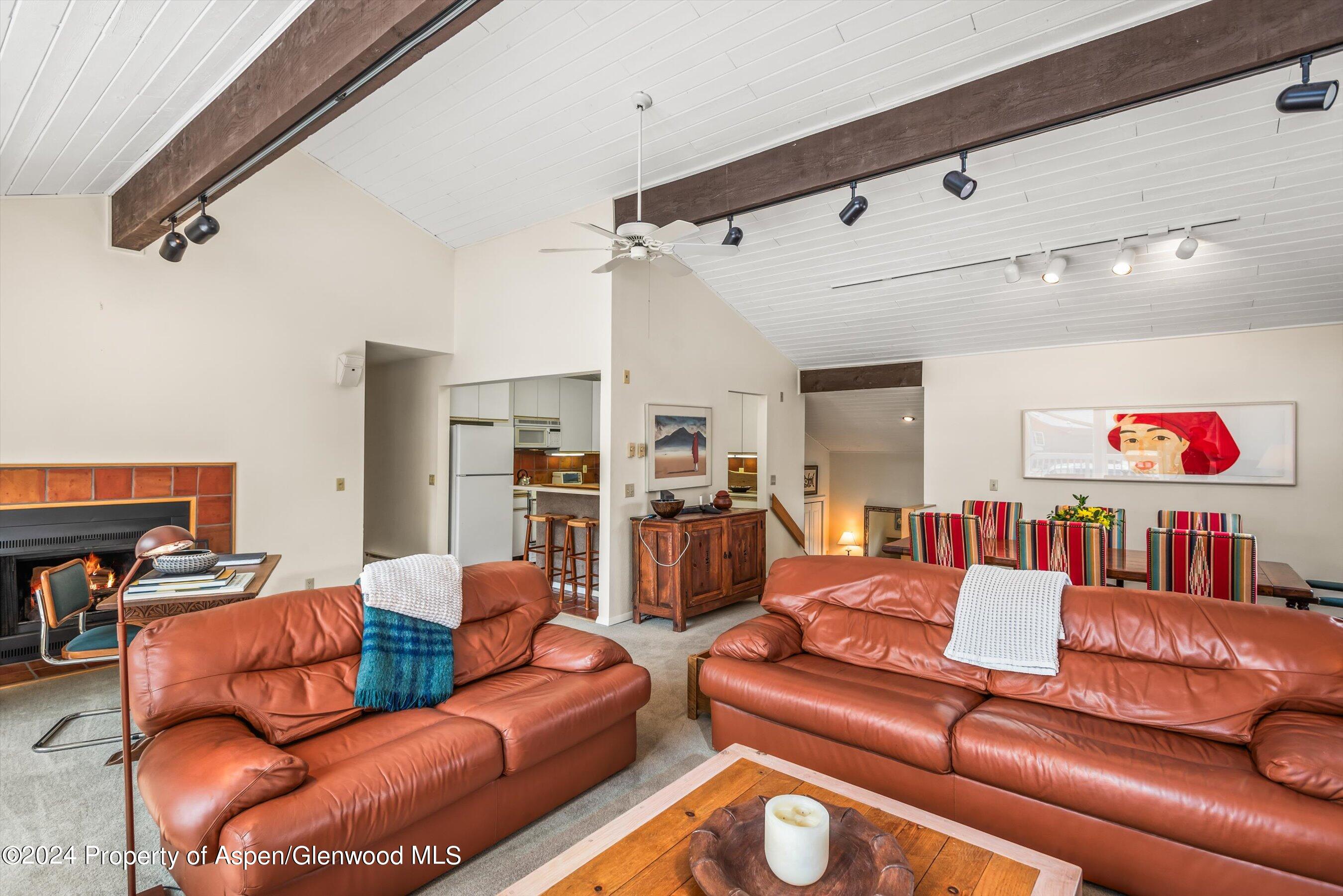 1275 Snowbunny Lane Aspen CO 81611