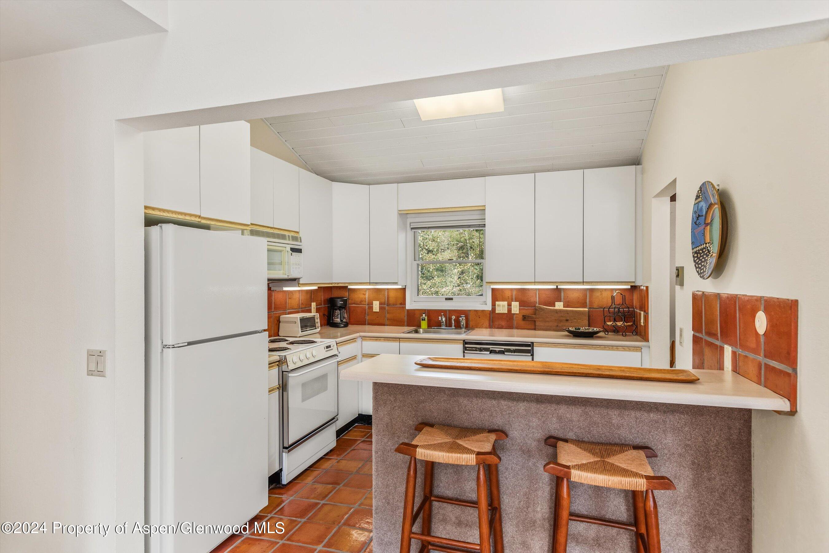 1275 Snowbunny Lane Aspen CO 81611